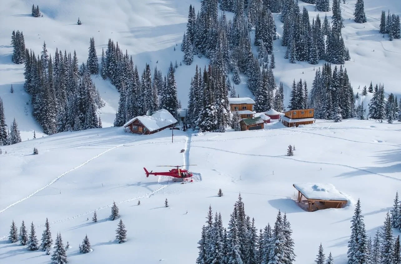 Show us a more magical looking snowy escape. We&rsquo;re dreaming of Spring days up at @whitecap with the sun on our faces and untracked runs under our skis.

#pemberton #skitouring #winter #skiing #canada