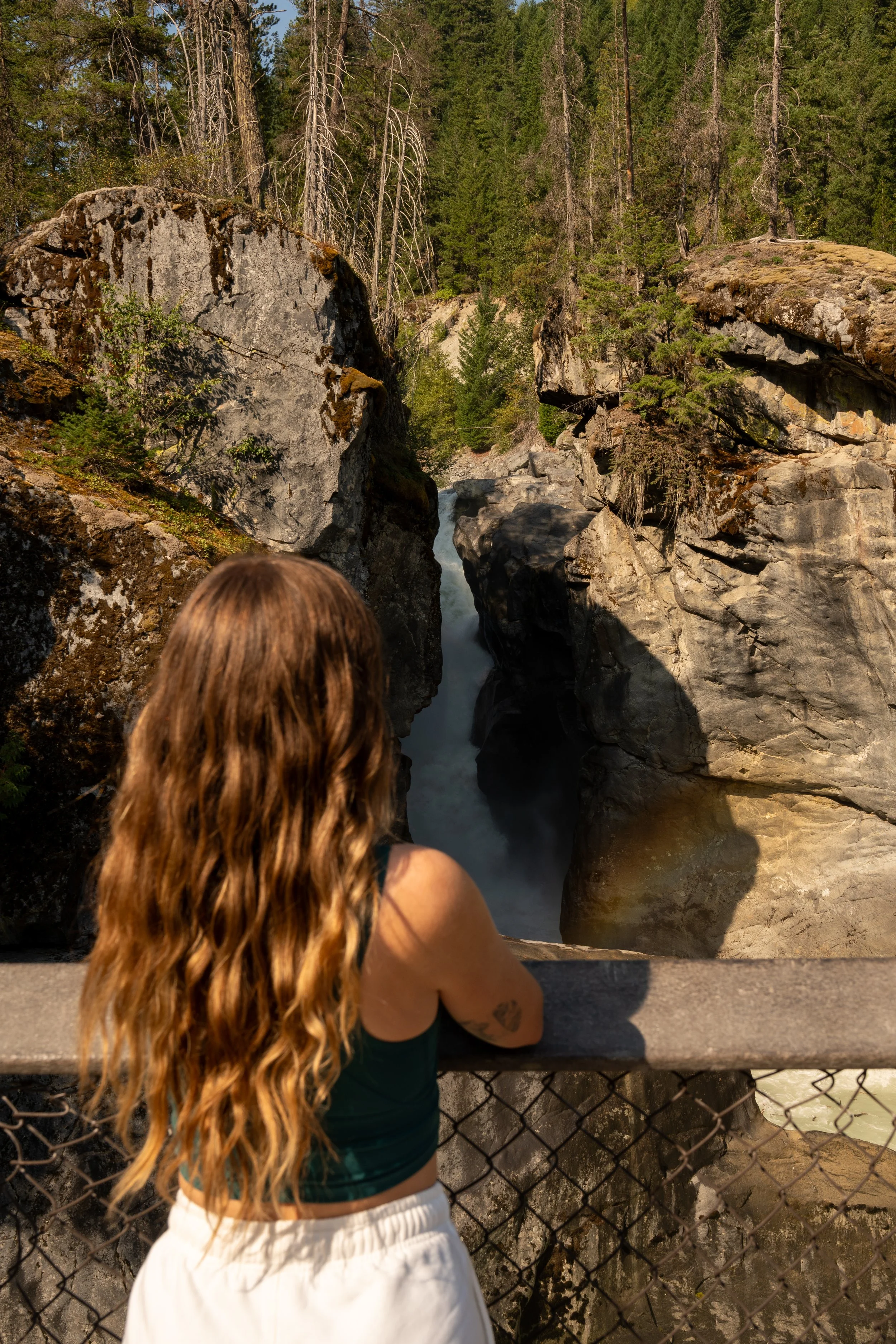 Tourism Pemberton-5.jpg