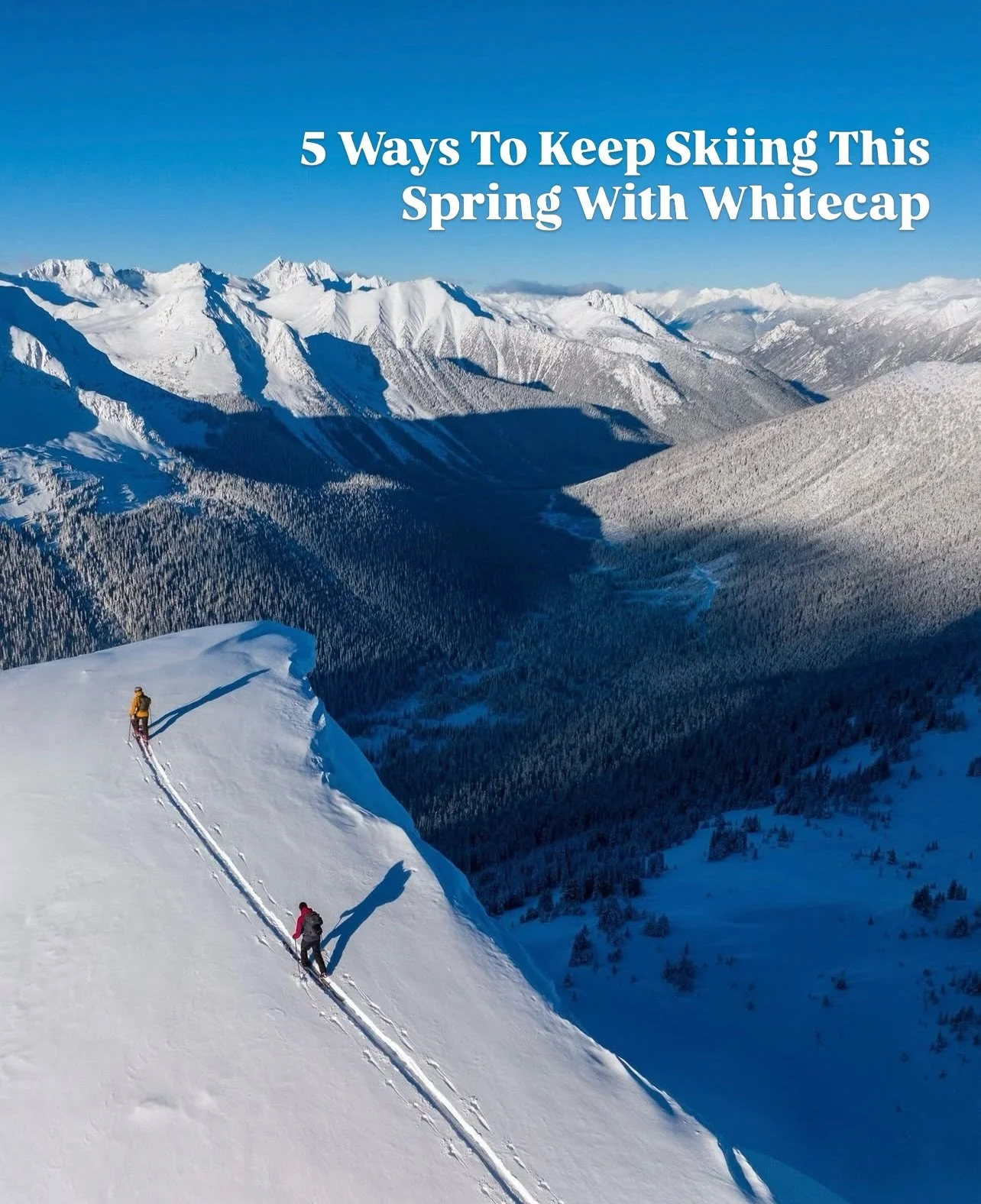 Spring: that season where we&rsquo;re still skiing hard in the alpine and watching flowers sprout to life in the Valley.

If you&rsquo;re not quite ready to say goodbye to Winter, don&rsquo;t worry, you still have until mid April before our operators