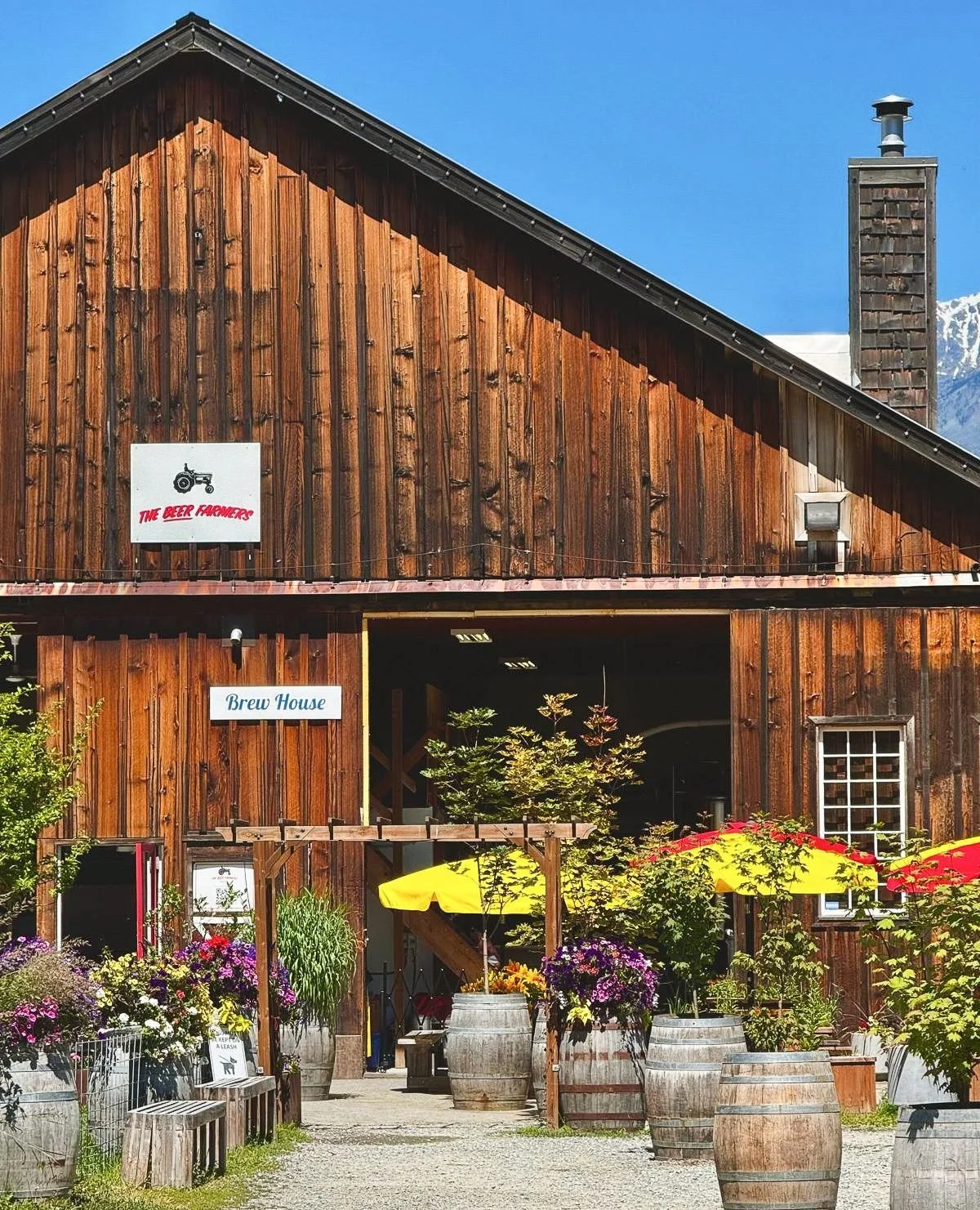 485040420_1062077785962743_4268886237829984690_n (1).jpg