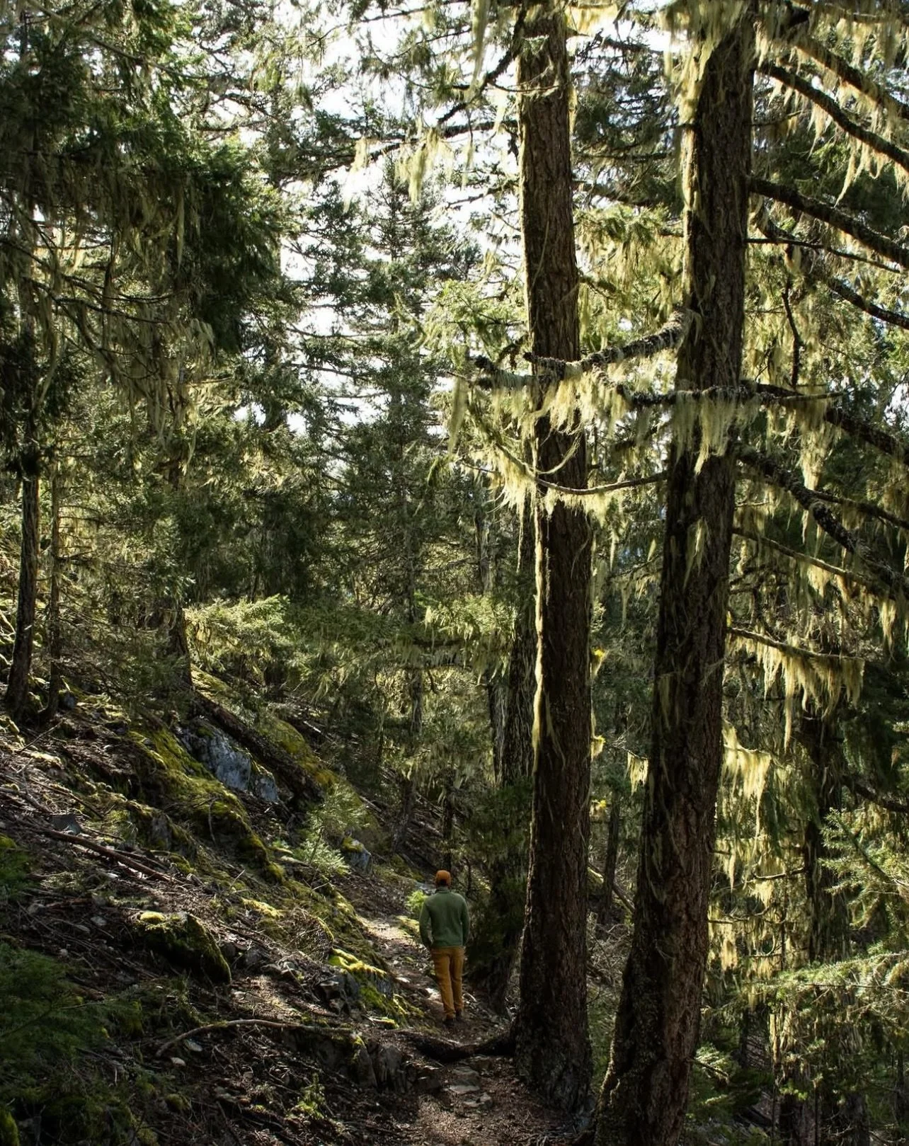 Spring on the trails 🌲

Thanks to @marissadventure for sharing these shots above Pemberton on the Cloudbase Grind. 

Primarily built for paragliders, this trail can also be for those looking for a hardcore steep hike (double black/extreme rating) - 