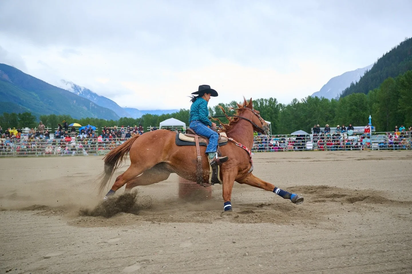 One month until the @lilwatnation Rodeo! Who&rsquo;s coming? 🙋&zwj;♀️

PC: @simonbedford 

#mtcurrie #lilwat #pemberton #rodeo #britishcolumbia
