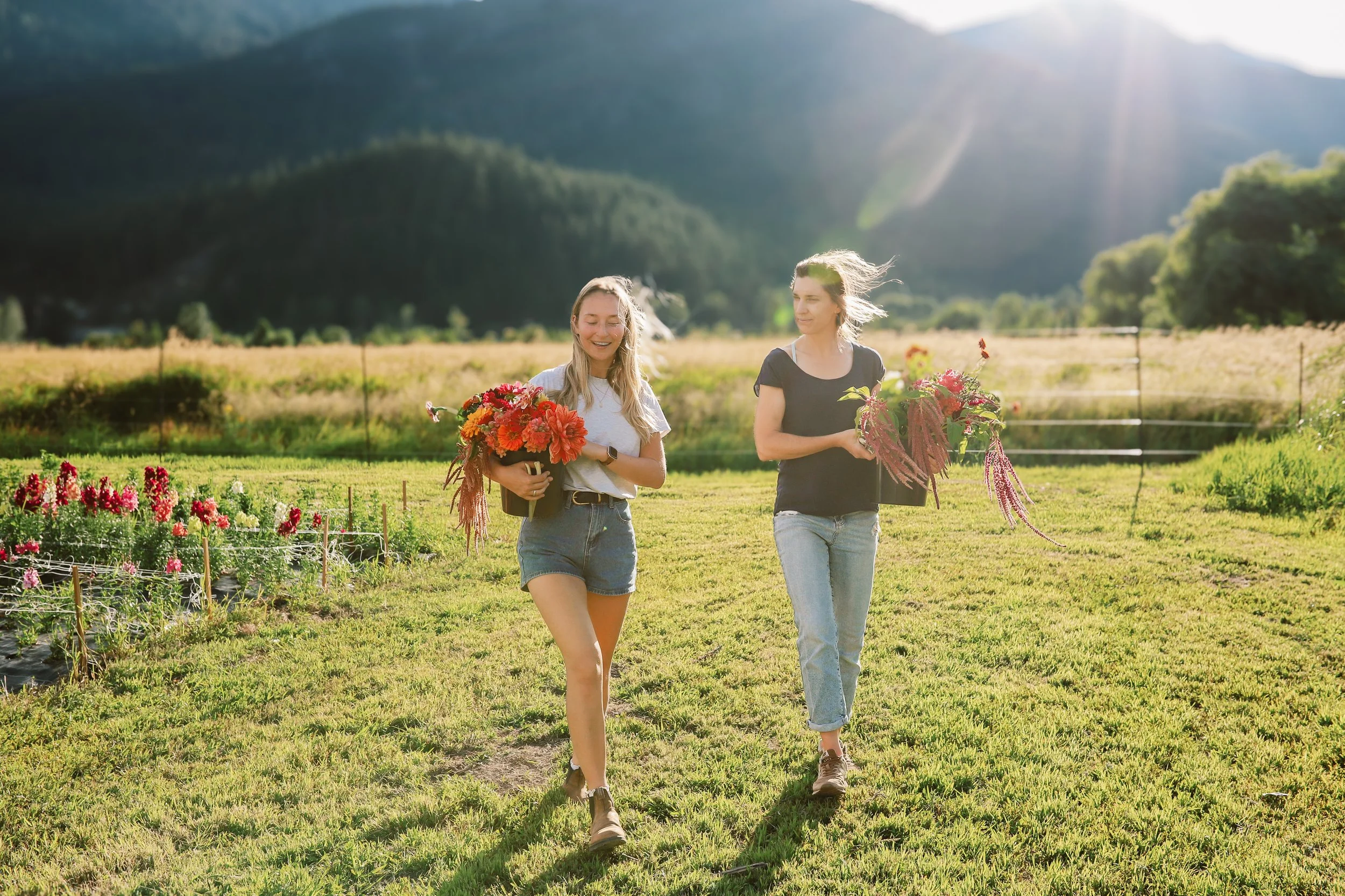 Flower Farm Pemberton The Flower Wrangler-16.jpg