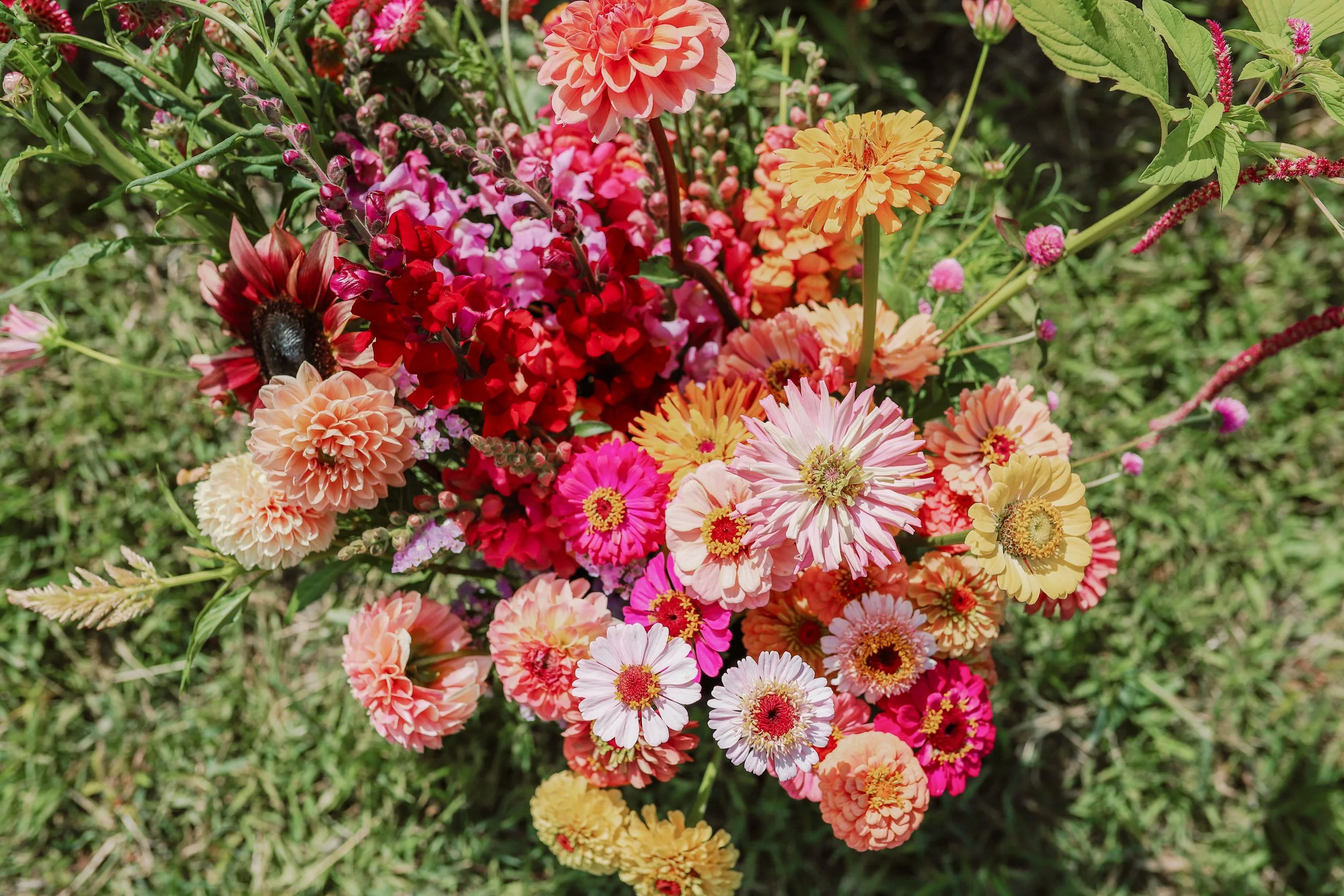 Flower Farm Pemberton The Flower Wrangler-79.jpg
