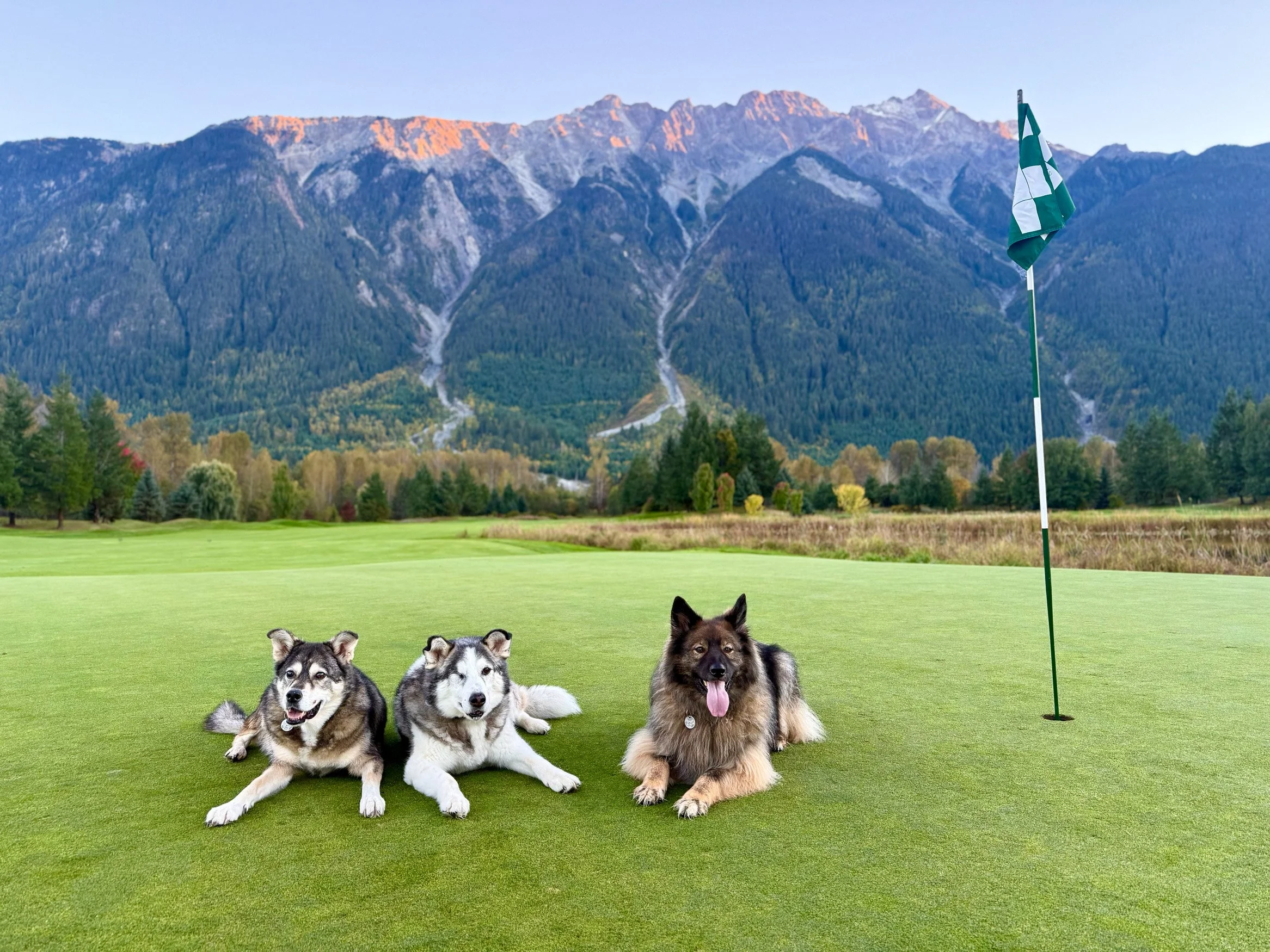 K9 & Dine at Big Sky Golf