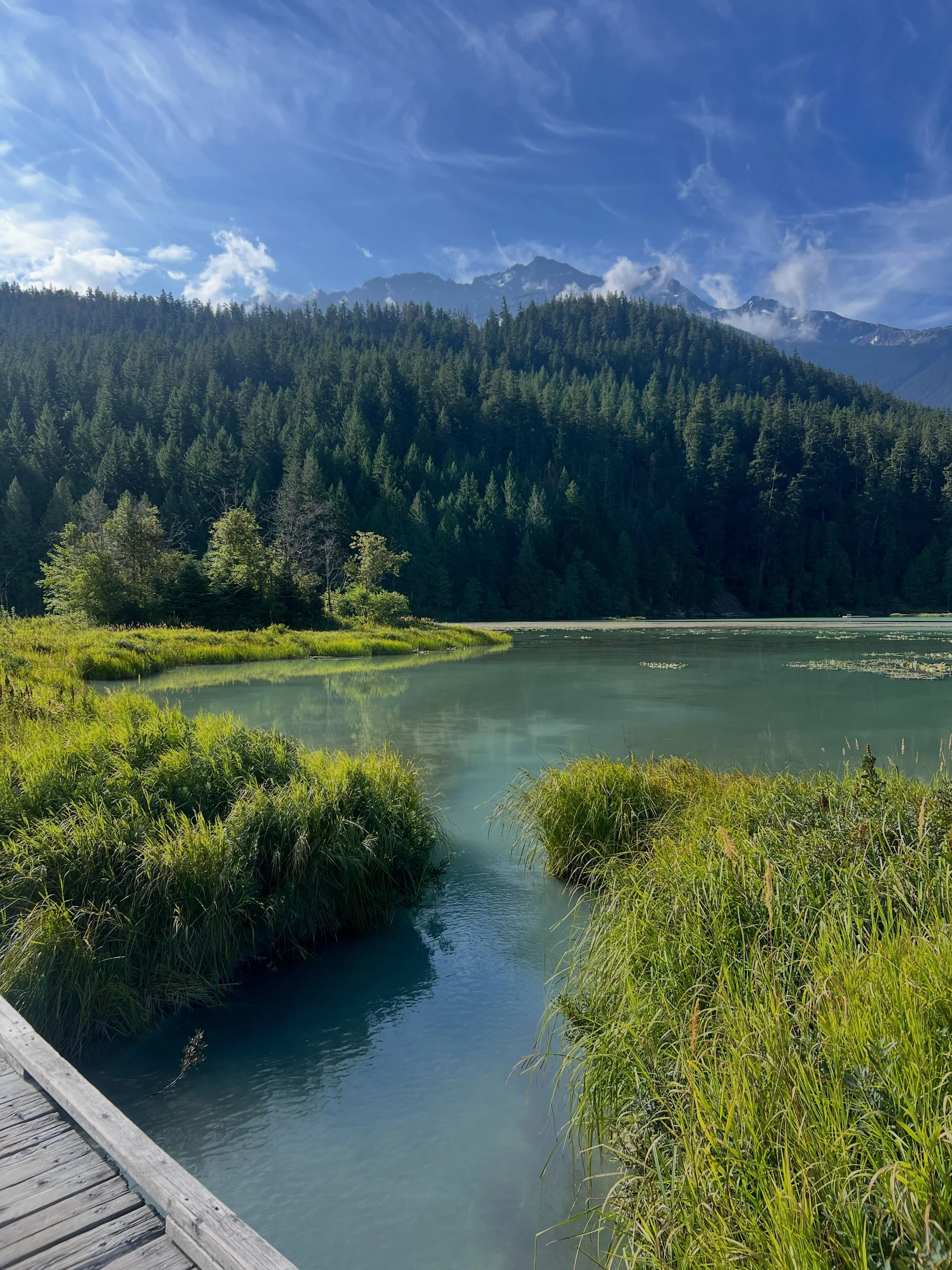 One Mile Lake Park Update: We&rsquo;re happy to share that the Sea to Sky Trail between One Mile Lake Park and Nairn Falls Campground, and the Frisbee golf course have been reopened!

The hiking/biking trails on Signal Hill are still closed for the p