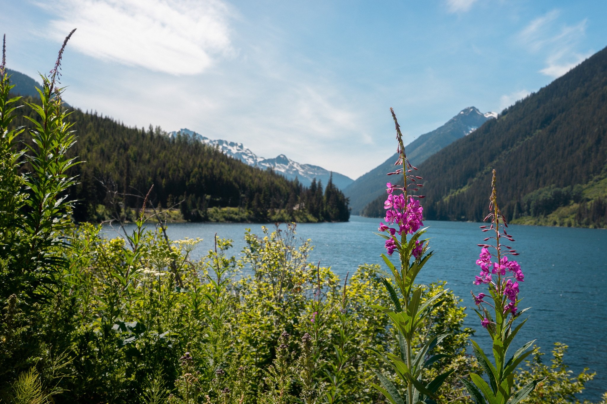One of the most beautiful drives in the region is a stretch of road that connects Pemberton to @visitlillooet. &lsquo;The Duffey&rsquo; (Duffey Lake Road &mdash; Highway 99) is where the lush rainforest of the Sea to Sky gives way to the Interiors se