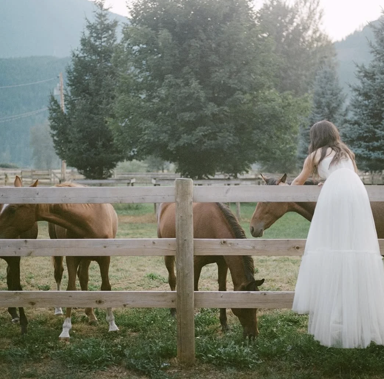wedding 3 .png