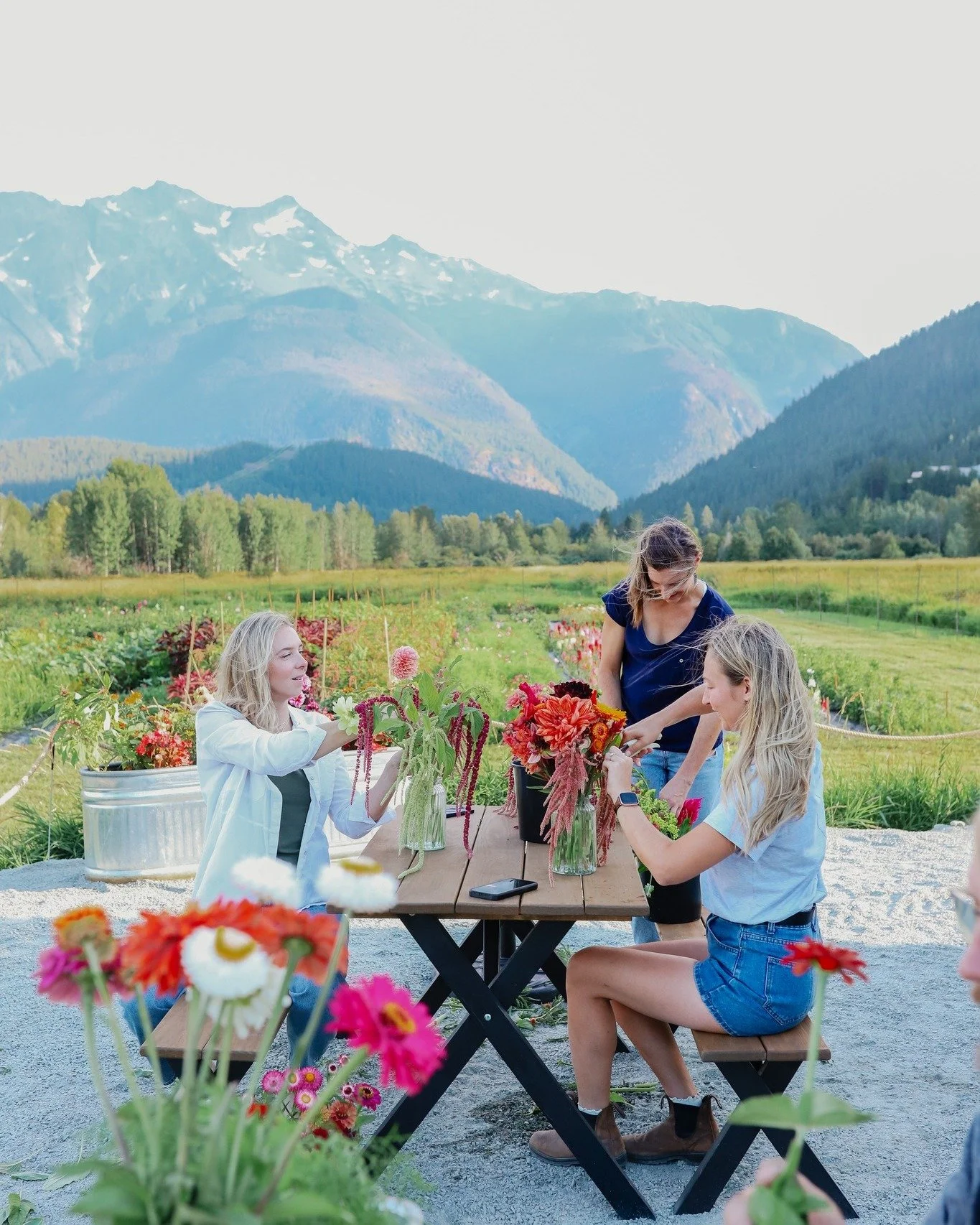 Sweet September in the fields at @theflowerwrangler.flowerfarm 🌸

Looking for an experience that helps you slow down, get creative, and soak up the beauty of the season? Spend a couple of hours wandering The Flower Wrangler's U-Pick flower fields an