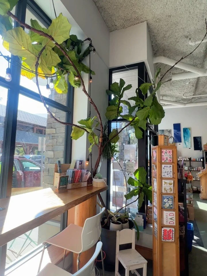 @staywildnaturalhealth combines delicious to-go smoothies, hot drinks and snacks with a store full of all-natural ingredients, health foods and vitamins, locally made home goods, Pemberton-grown flowers, and cute finds. Make sure to visit the next ti