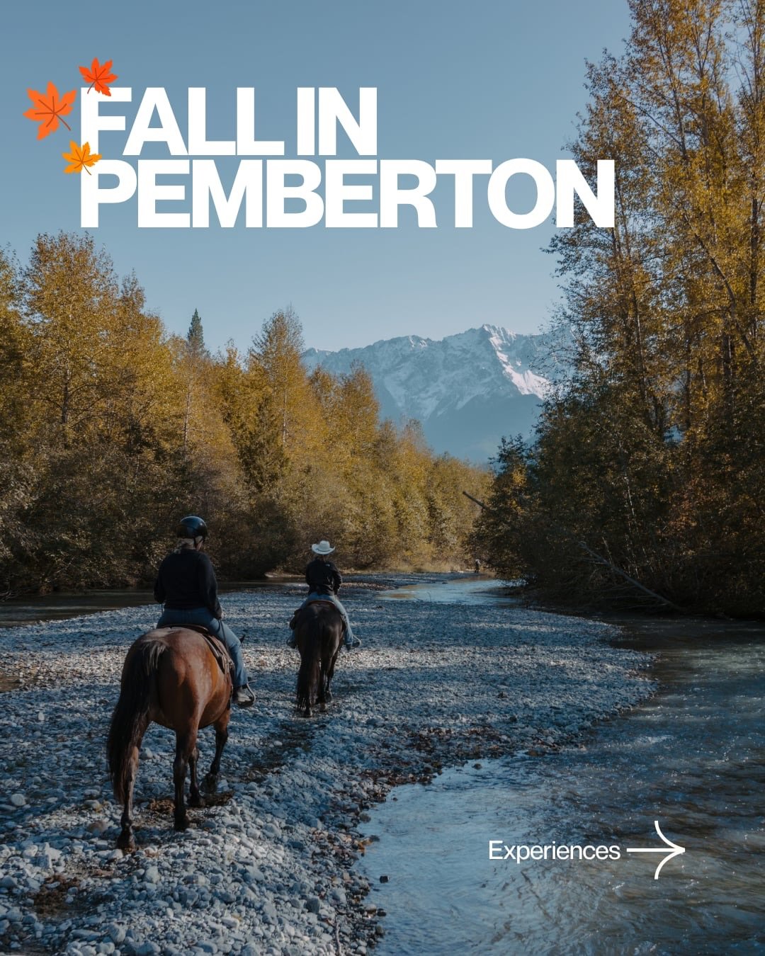 Fall in Pemberton: Experiences

There&rsquo;s nothing wrong with cozying up by a fire, enjoying the fall foliage, and slowing down these next few weeks (we wholeheartedly condone this) BUT, if you want to keep adventuring, there&rsquo;s no shortage o
