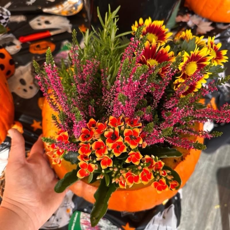 Pumpkin Floral Arrangement: Fall Workshop 💐🎃

The @pembertonartscouncilbc Fall Workshop Season kicks off tomorrow during the @stewardshippembertonsociety Fall Harvest Festival!

Barbora Van&iacute;čkov&aacute; Will lead you through a lively and cre