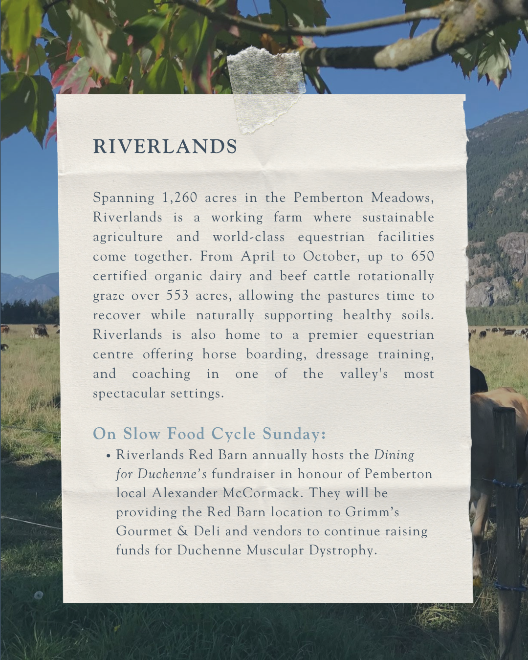 Riverlands.png