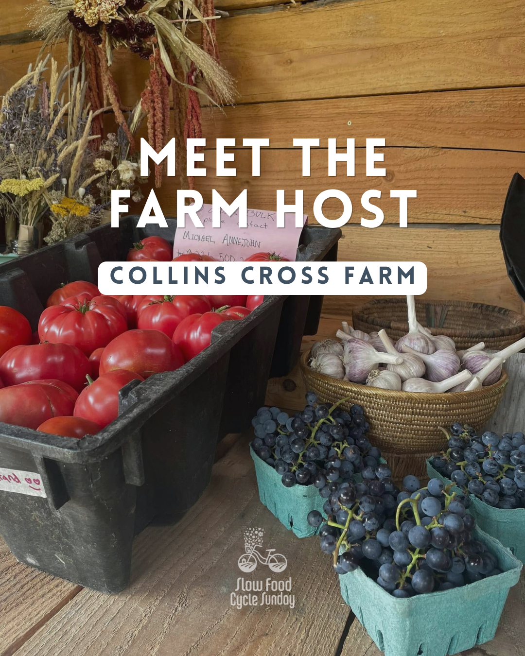 SFCS Farms (5).png