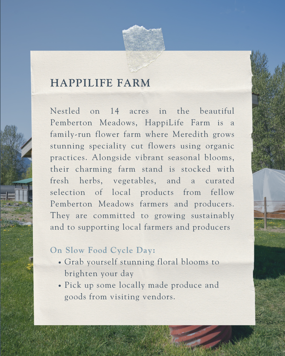 SFCS Farms (4).png