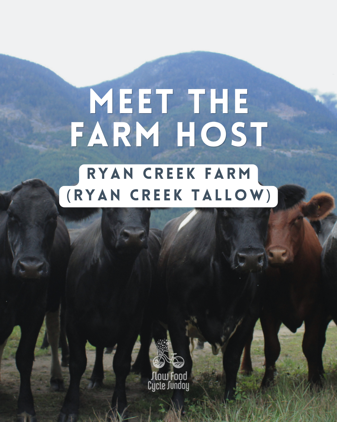 Ryan Creek Farm.png