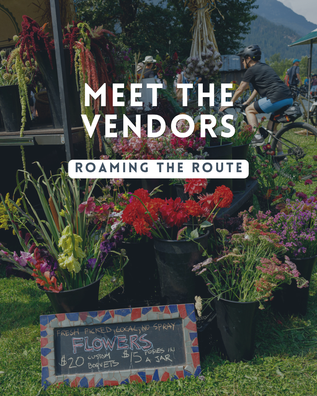 Vendors (3).png