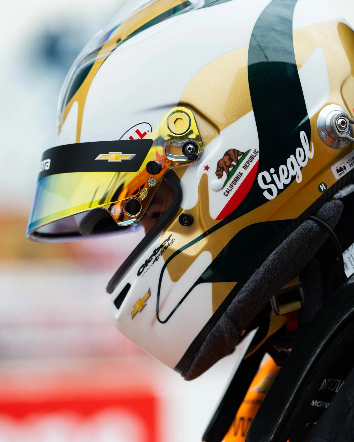 Bringing a bit of home with me everywhere I go this season 🐻

Thanks @danielcrossmandesign 🙏