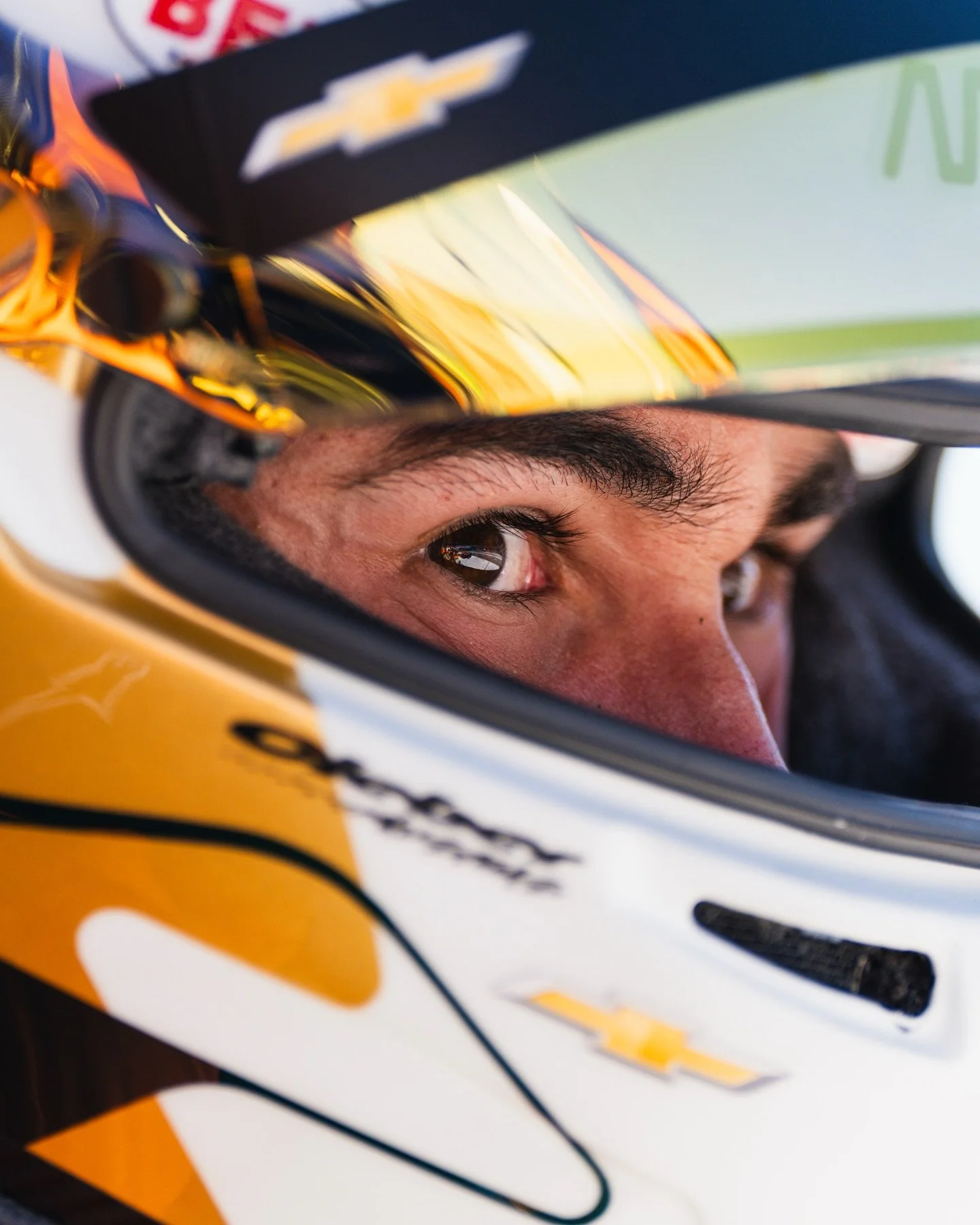 See ya soon Georgina 🕷️