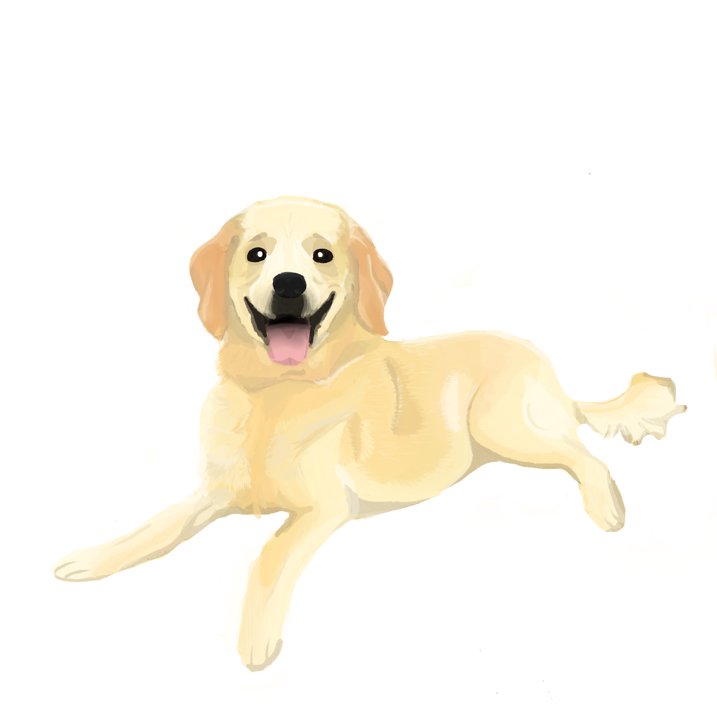 Untitled_Artwork 19.png