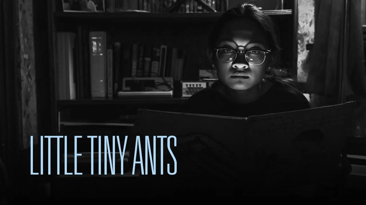 Little Tint Ants