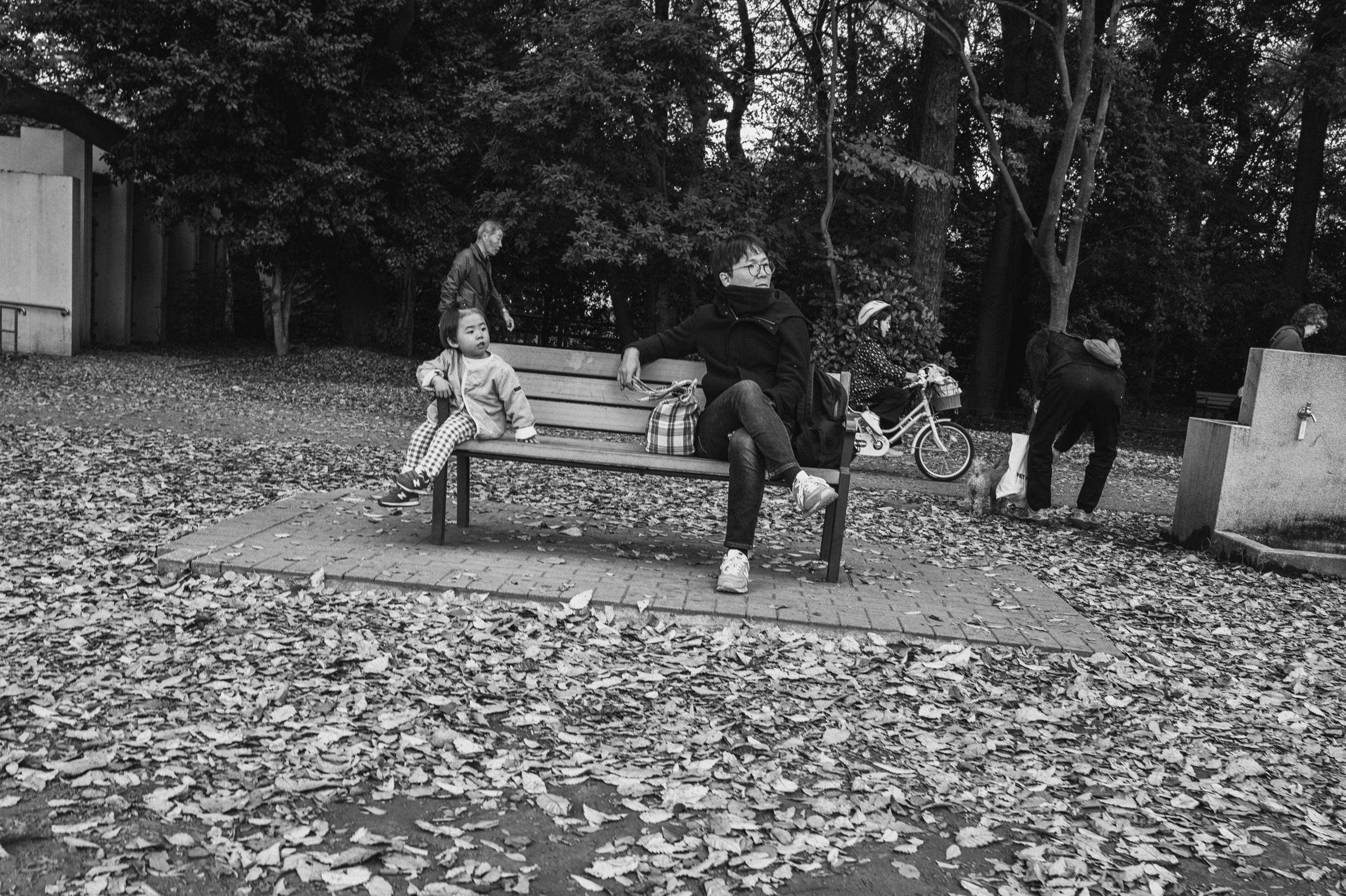 L1031173.jpg
