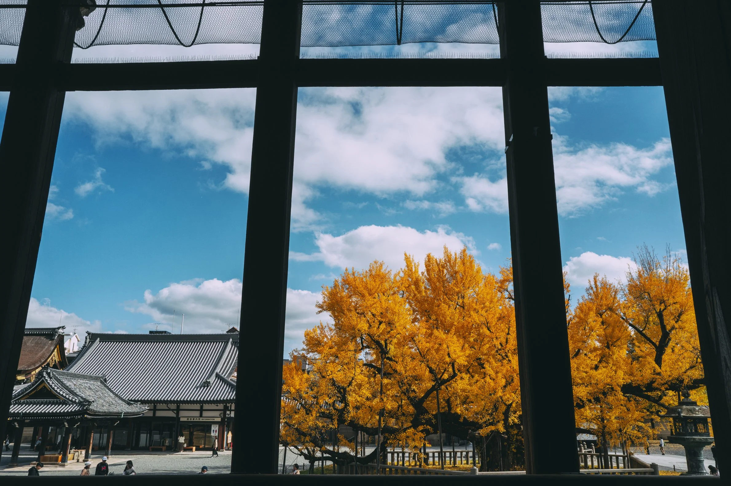 Moera Creative Kyoto by Erick Moya 10.jpg