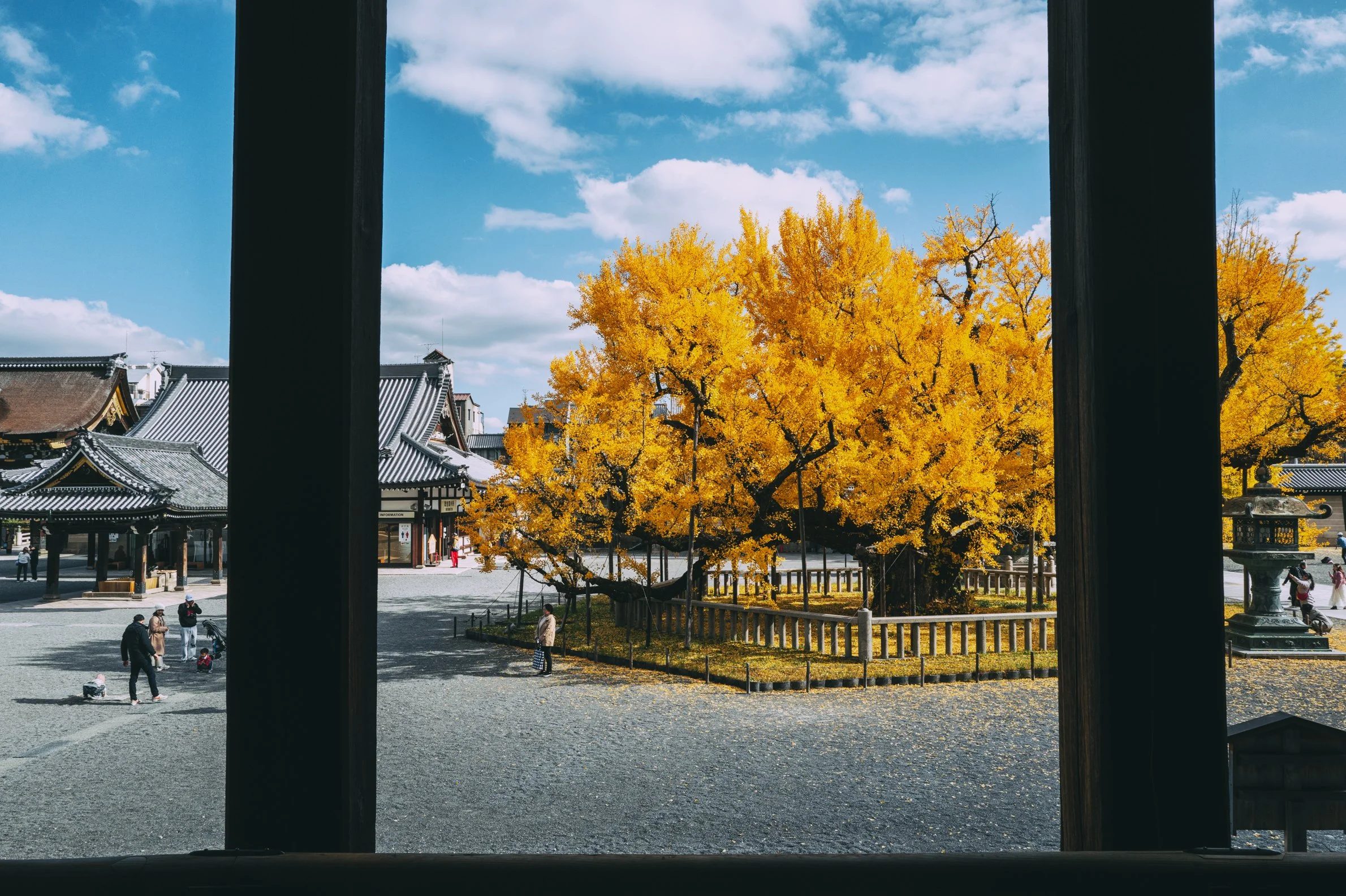 Moera Creative Kyoto by Erick Moya 3.jpg