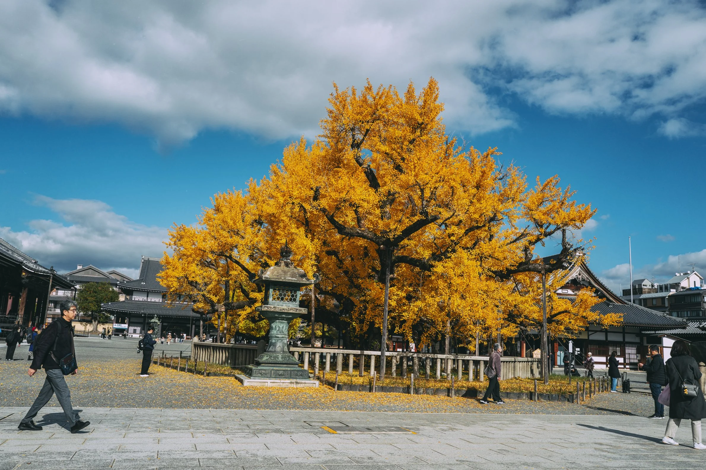 Moera Creative Kyoto by Erick Moya 11.jpg