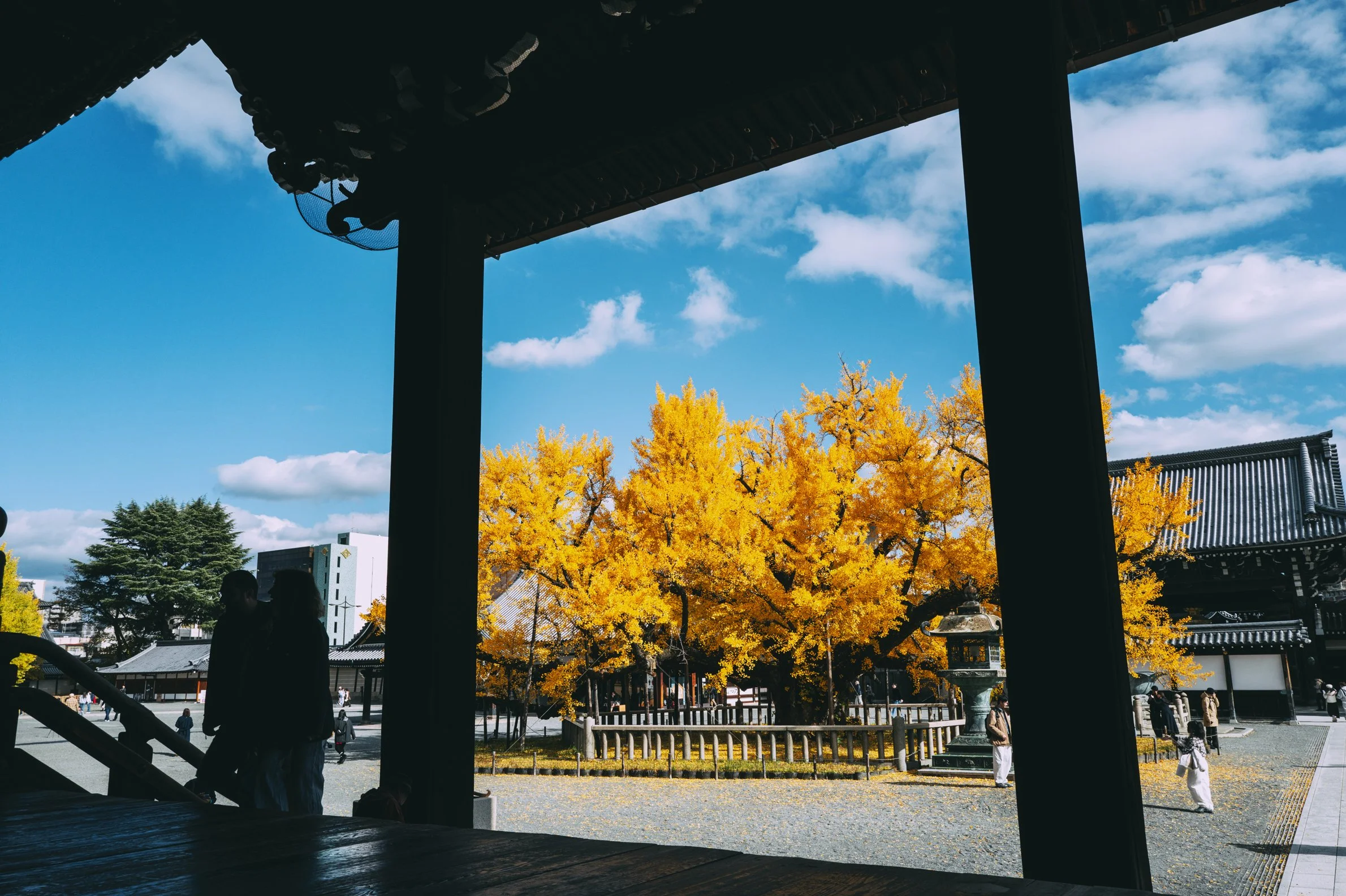 Moera Creative Kyoto by Erick Moya 5.jpg