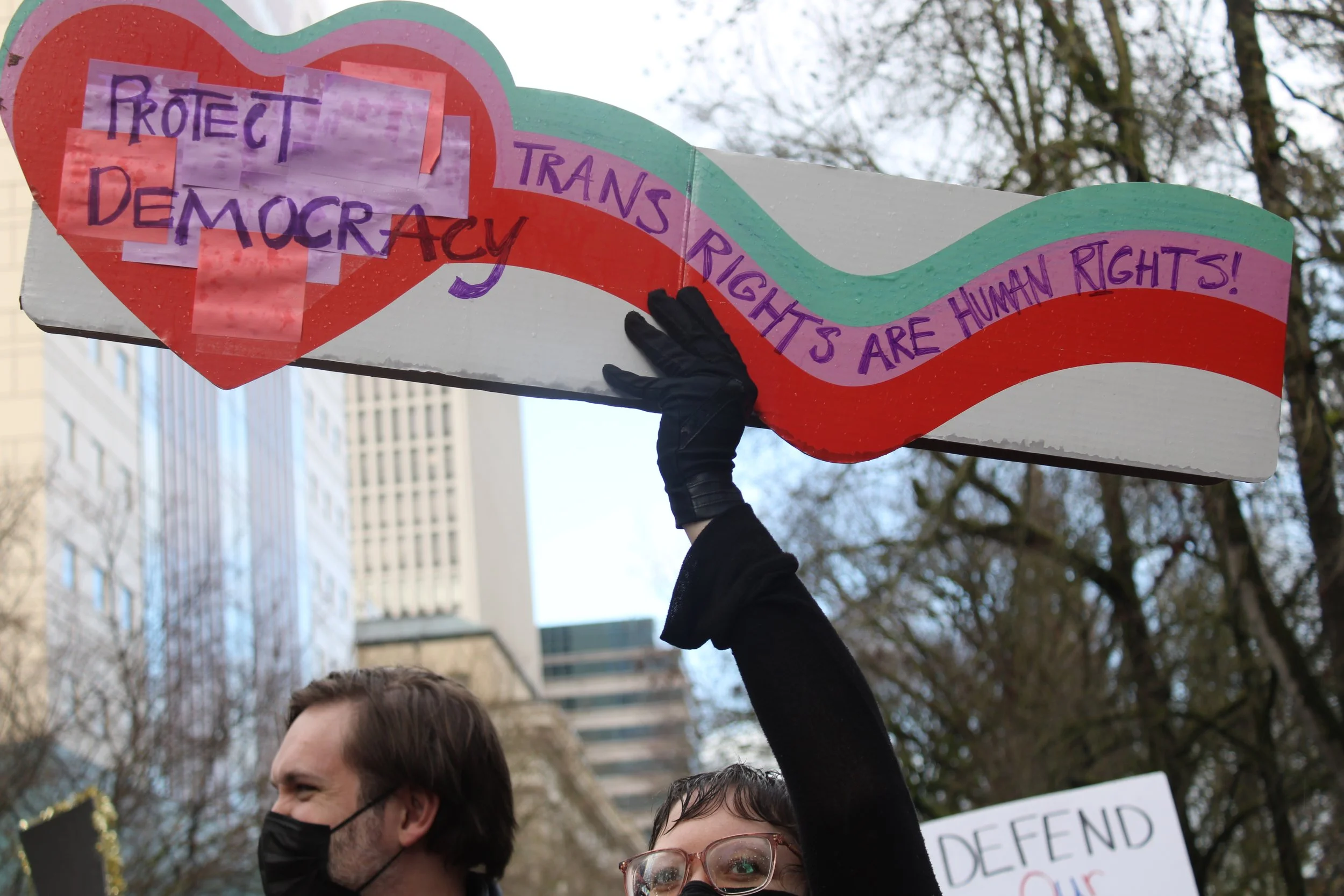 No Kings Rally. Portland, OR. Presidents Day 2025.