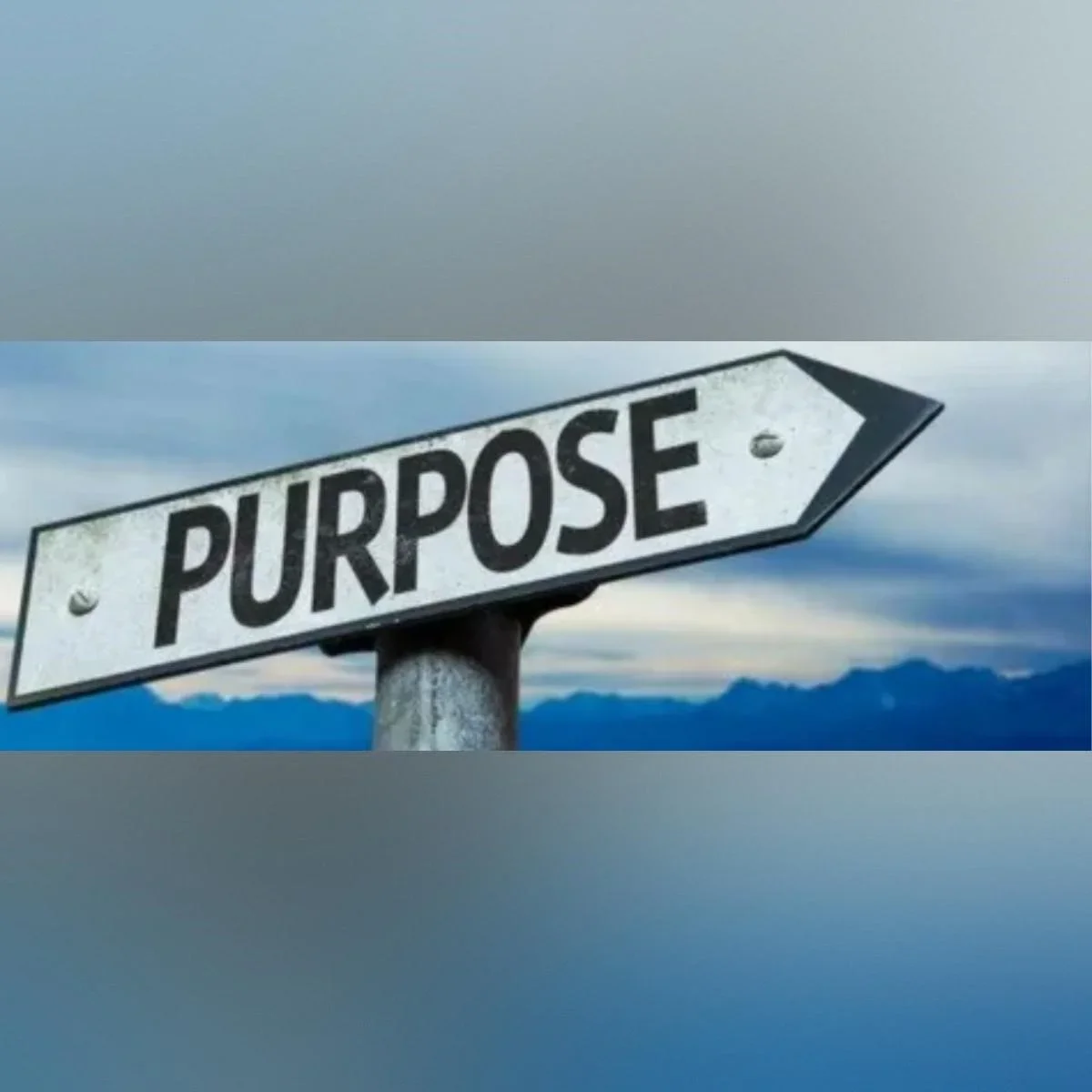 best purpose driven book for christian self-help seekers