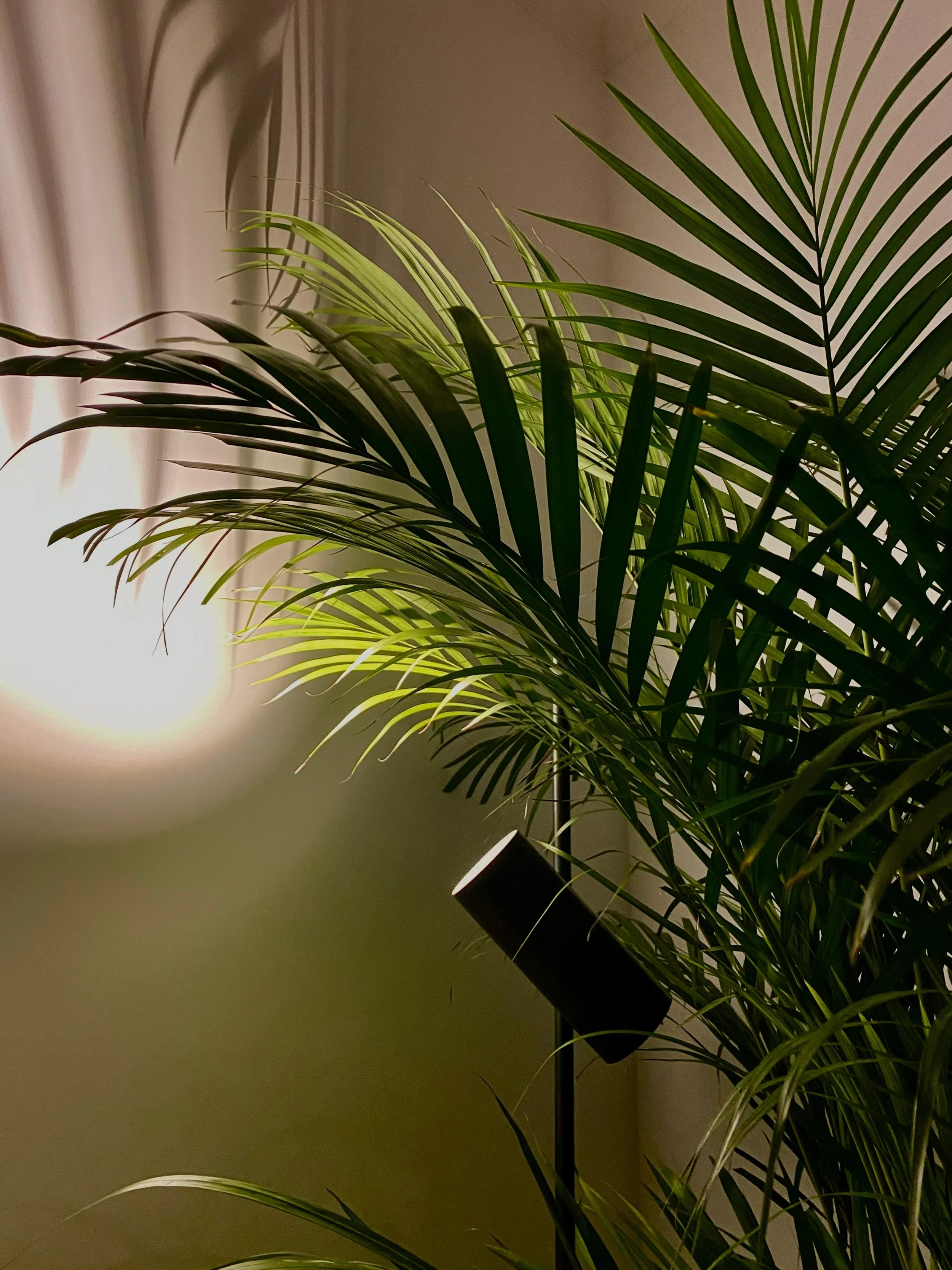 WhatsApp Image 2025-11-16 at 16.39.24 (2).jpeg