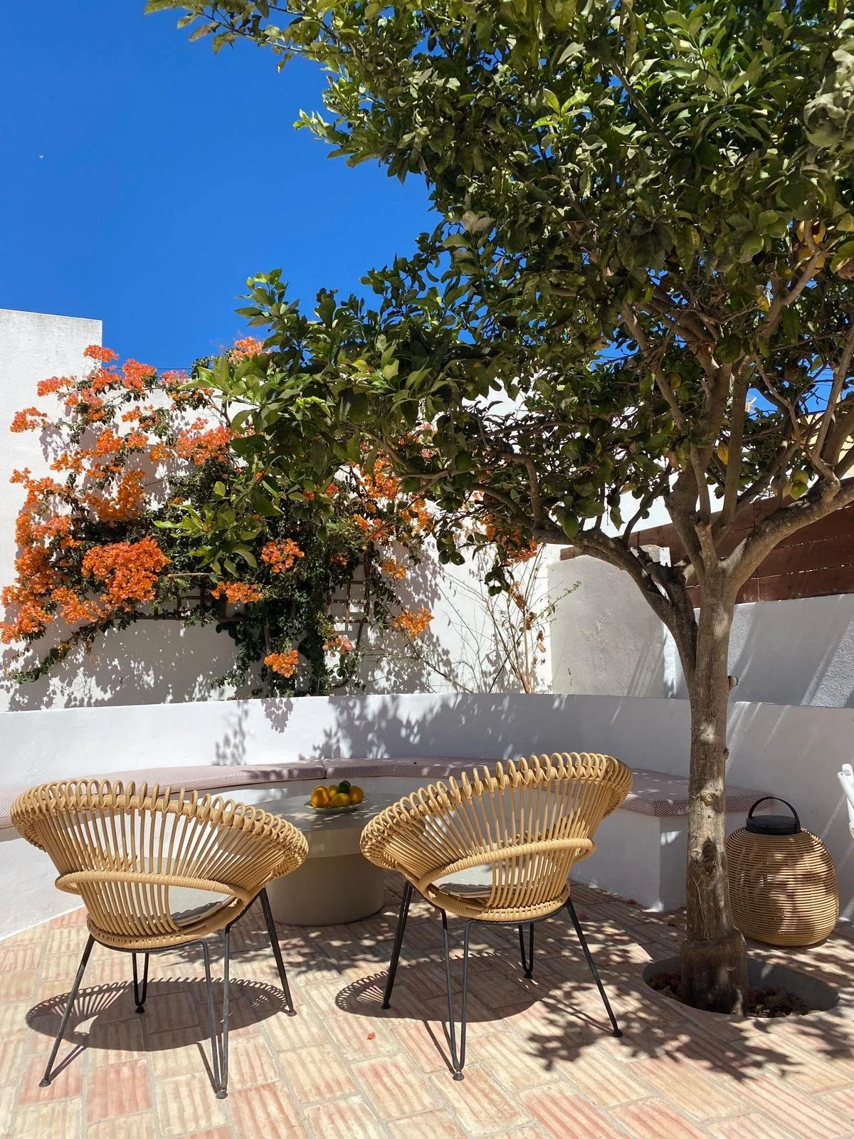 WhatsApp Image 2025-11-15 at 16.21.09 (3).jpeg