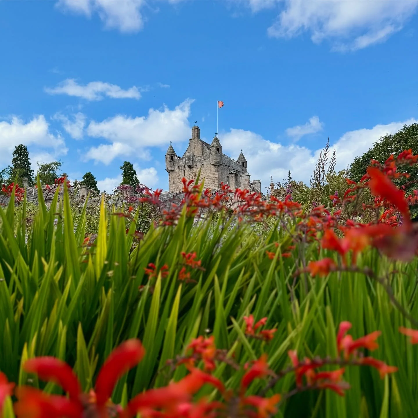 A couple of snaps from Cawdor Castle near Inverness&mdash;this was such a fun place to explore and what&rsquo;s more, it&rsquo;s a castle that&rsquo;s still lived in today and opened up to the public certain times during the year. We spent the most t
