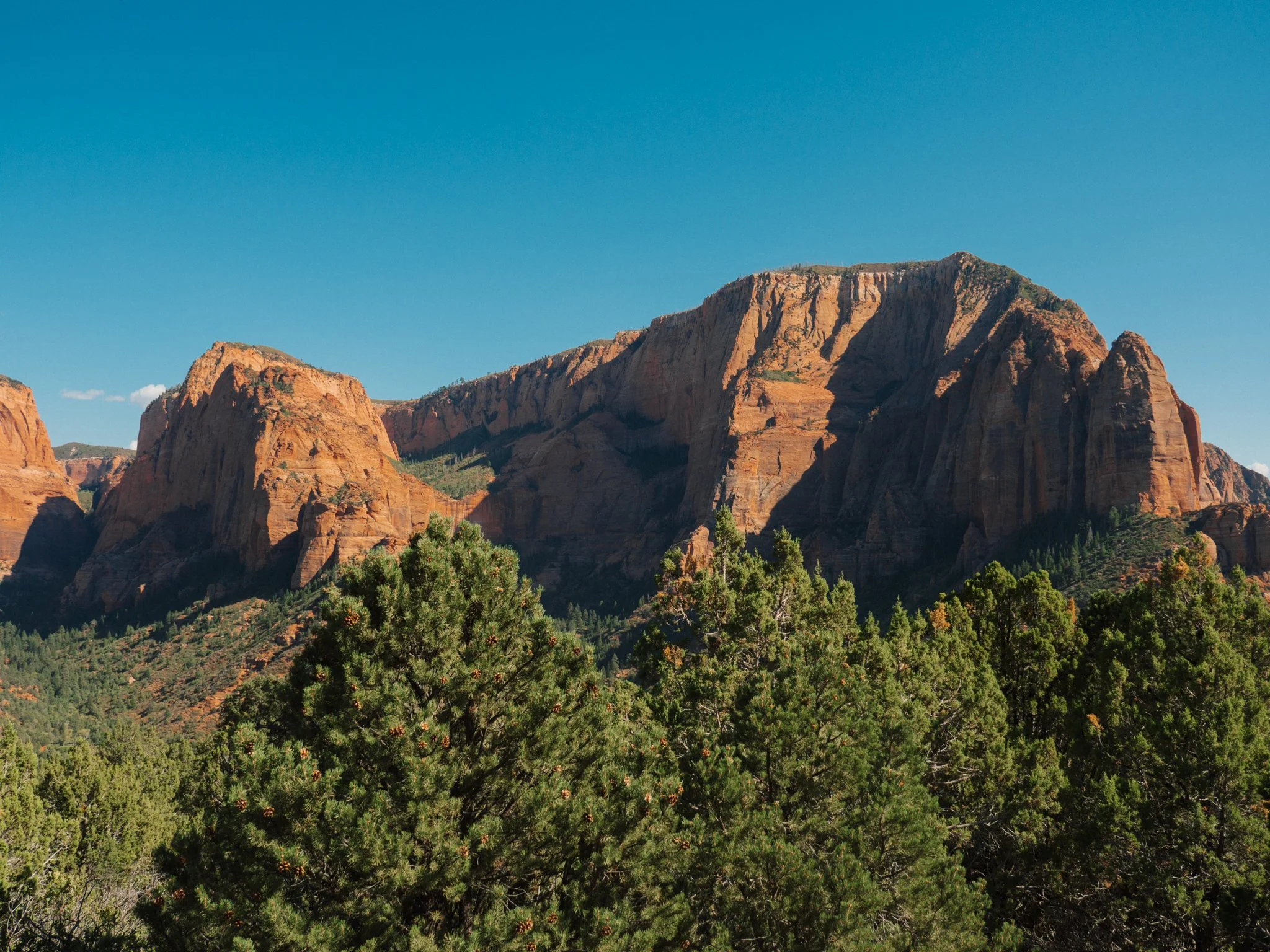 PA090264.jpg