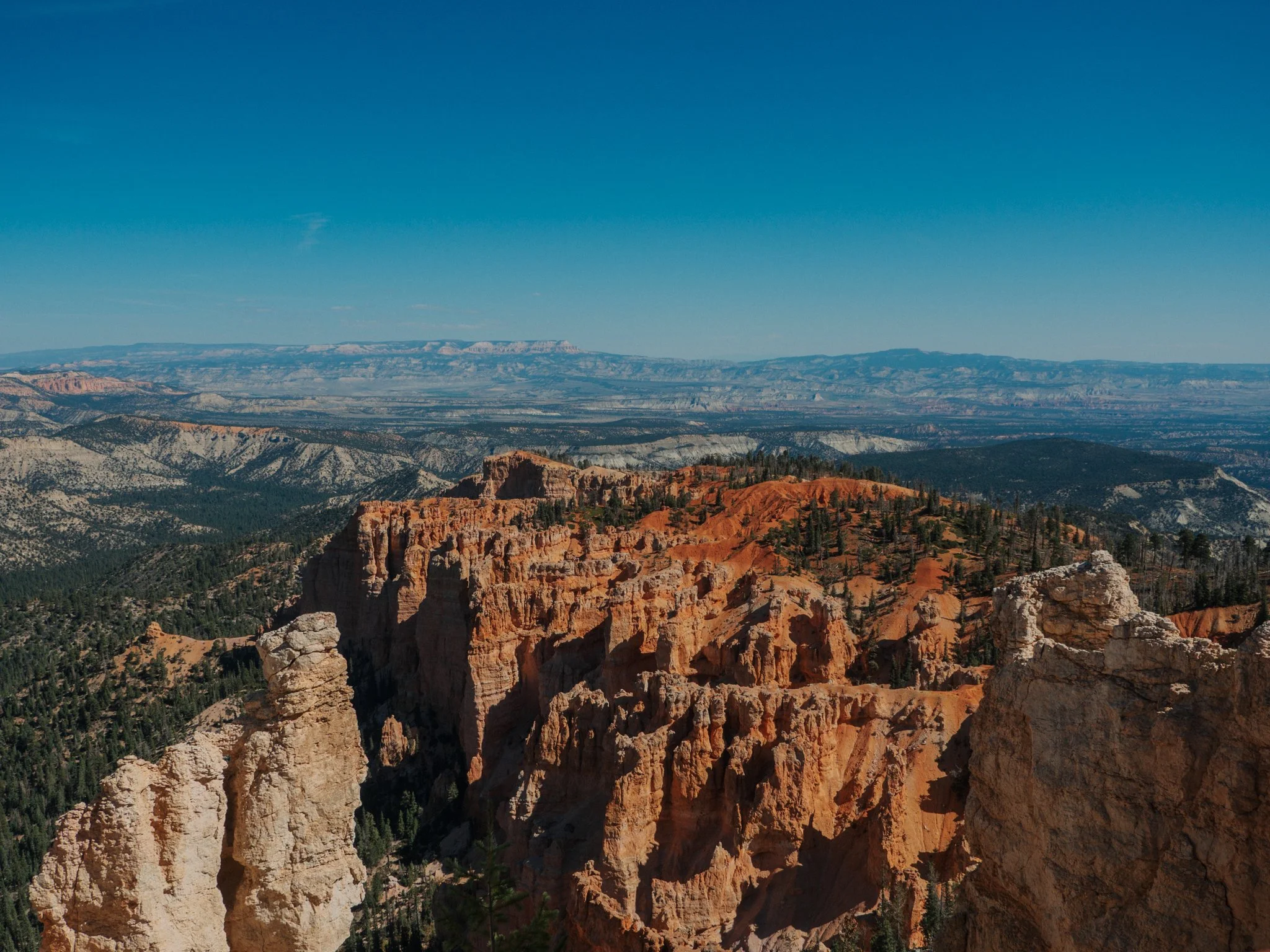 PA100188.jpg
