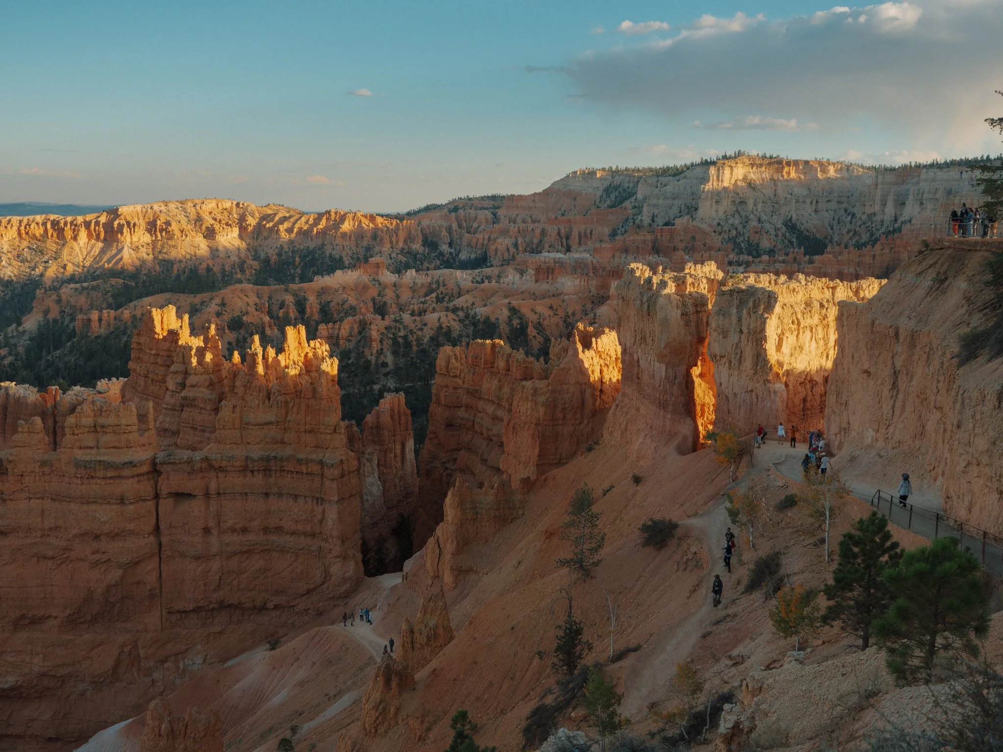 PA090340.jpg