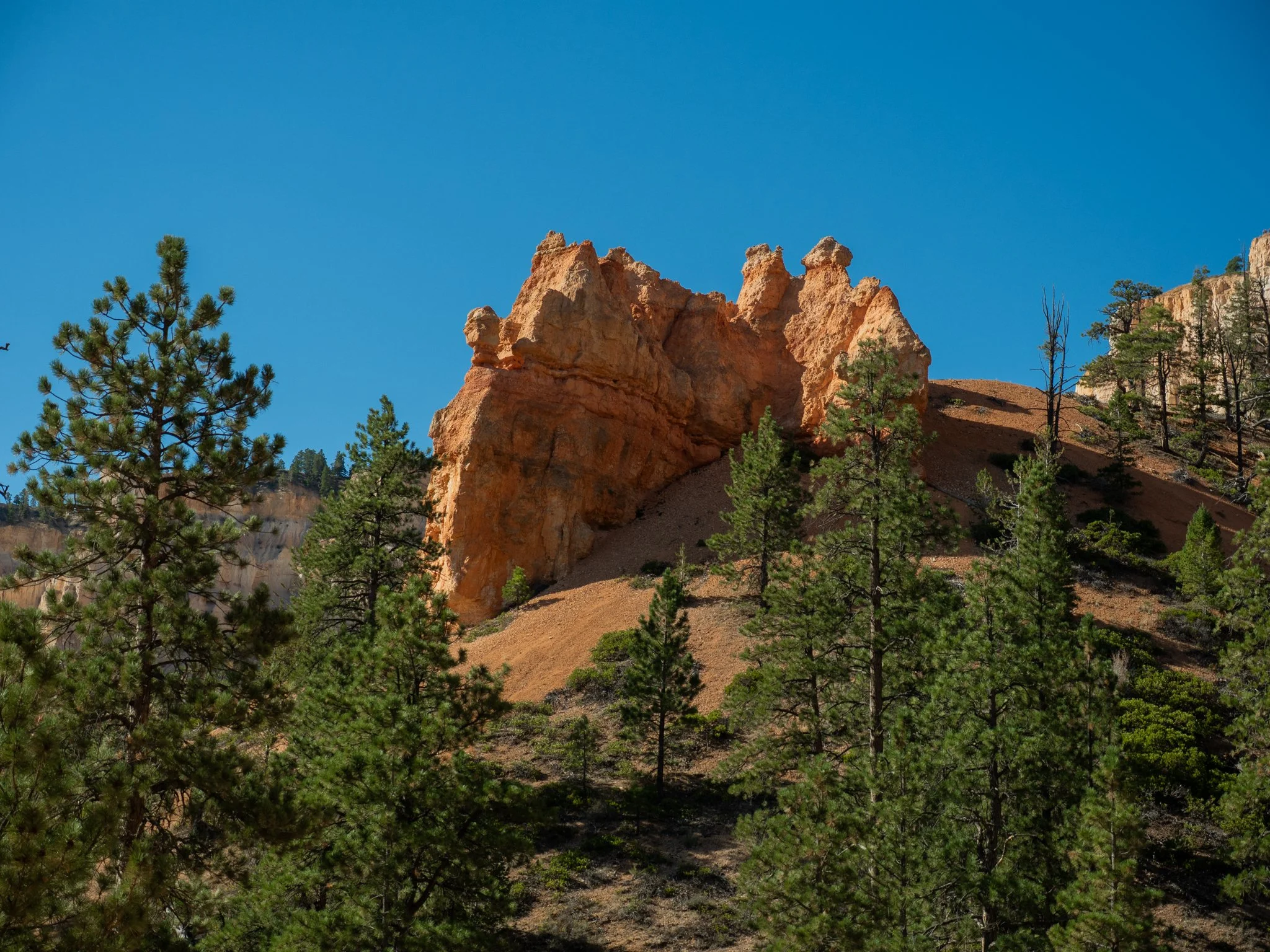 PA100126.jpg