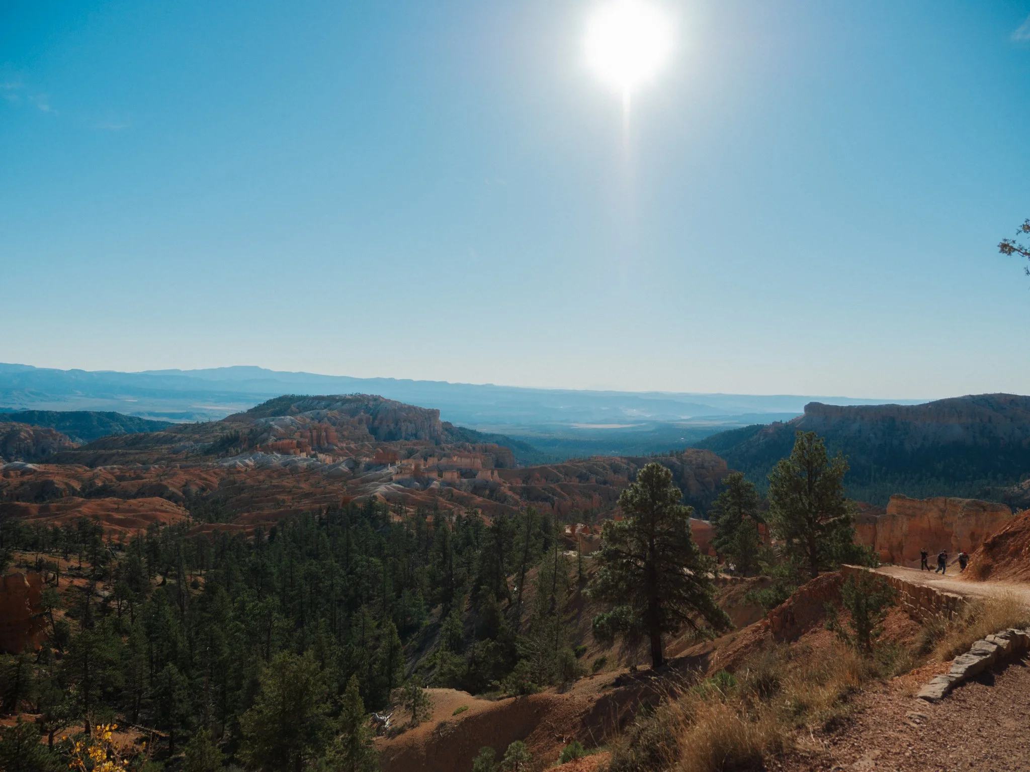 PA100016.jpg