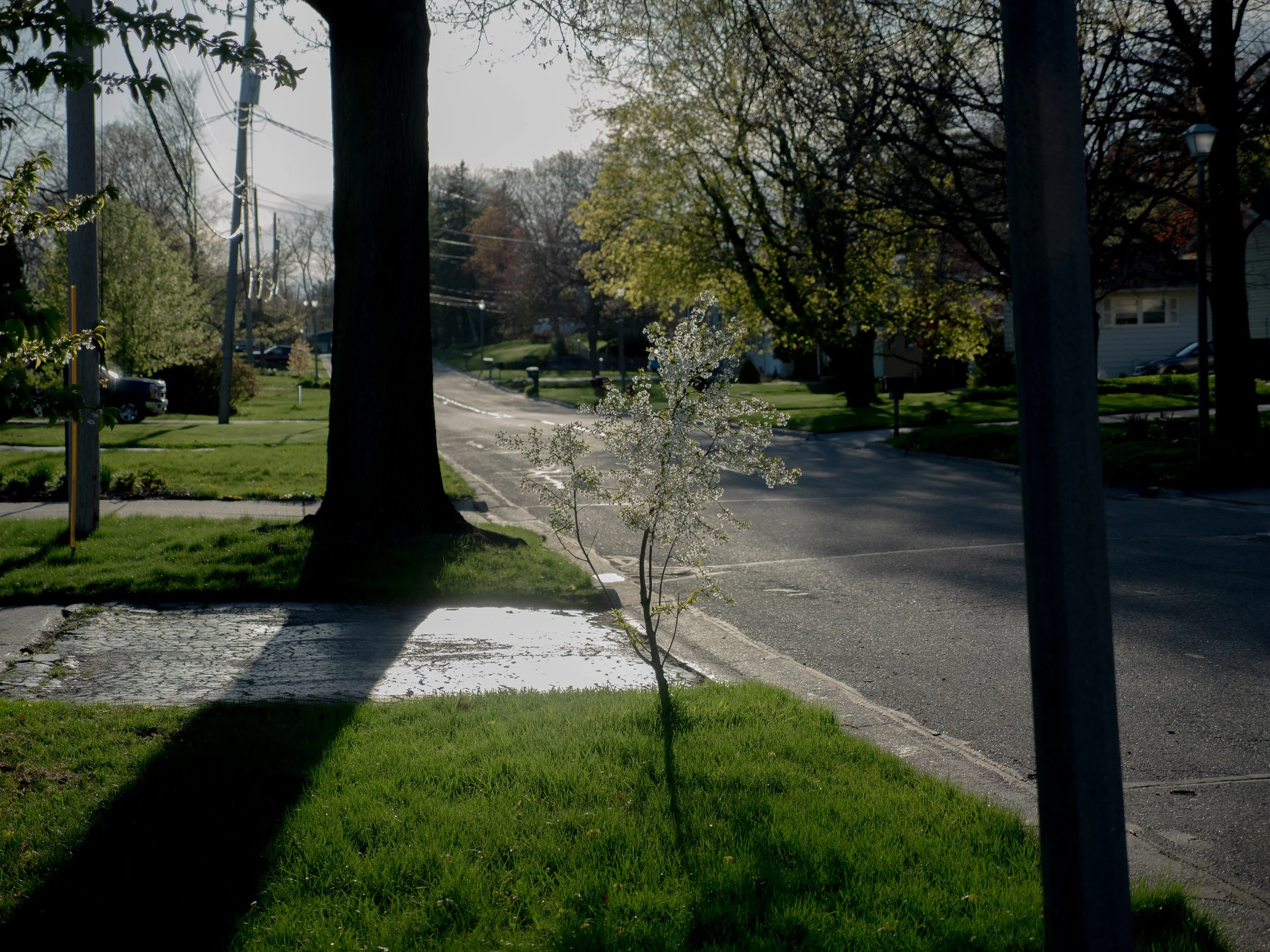 P4230245.jpg