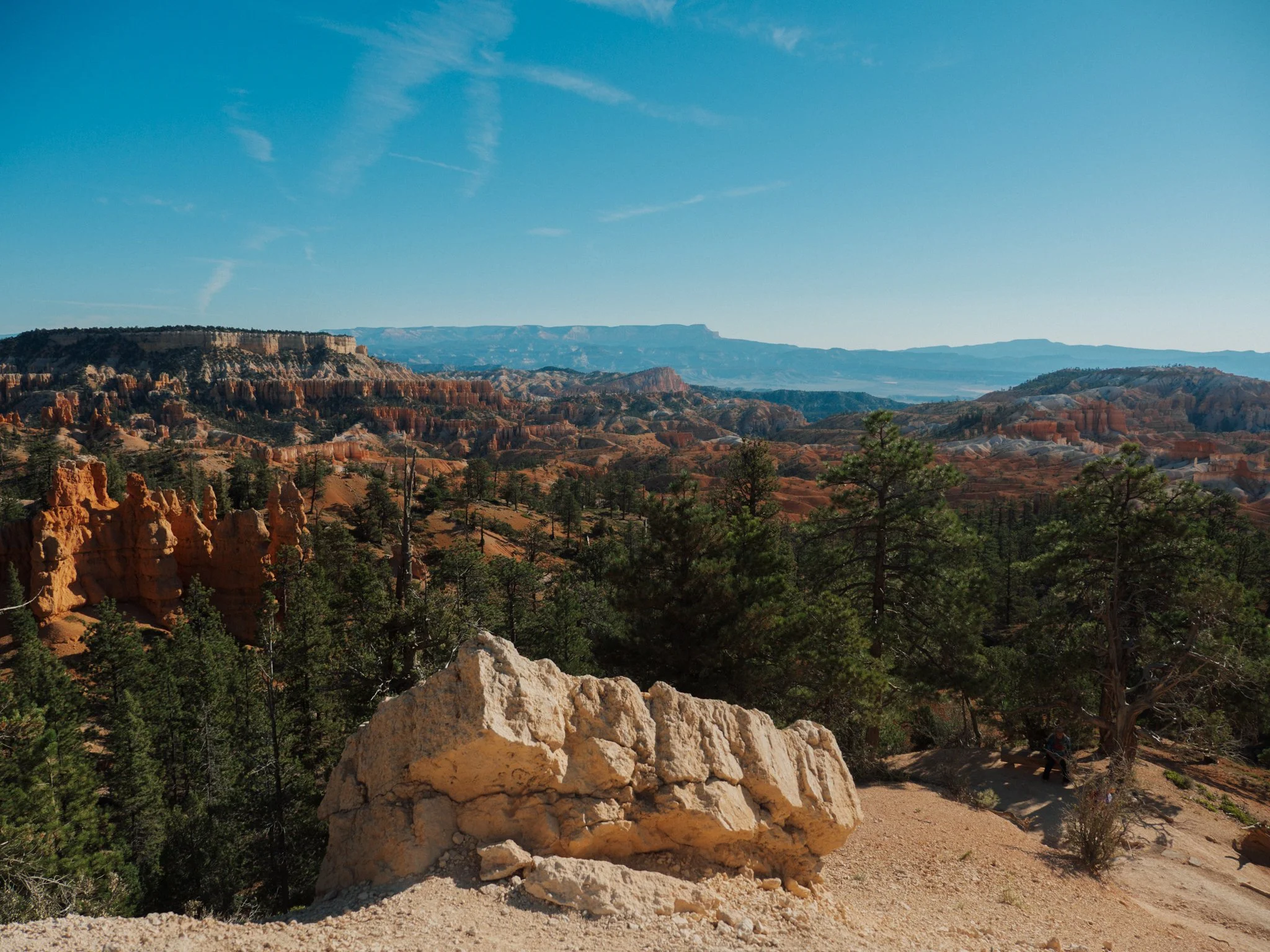 PA100025.jpg