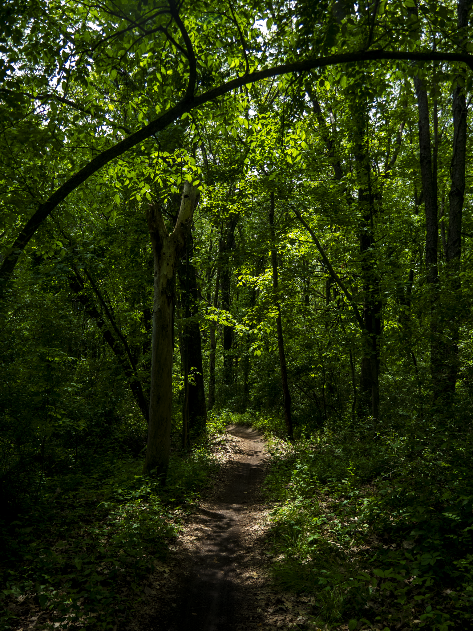 Hiking Adventures