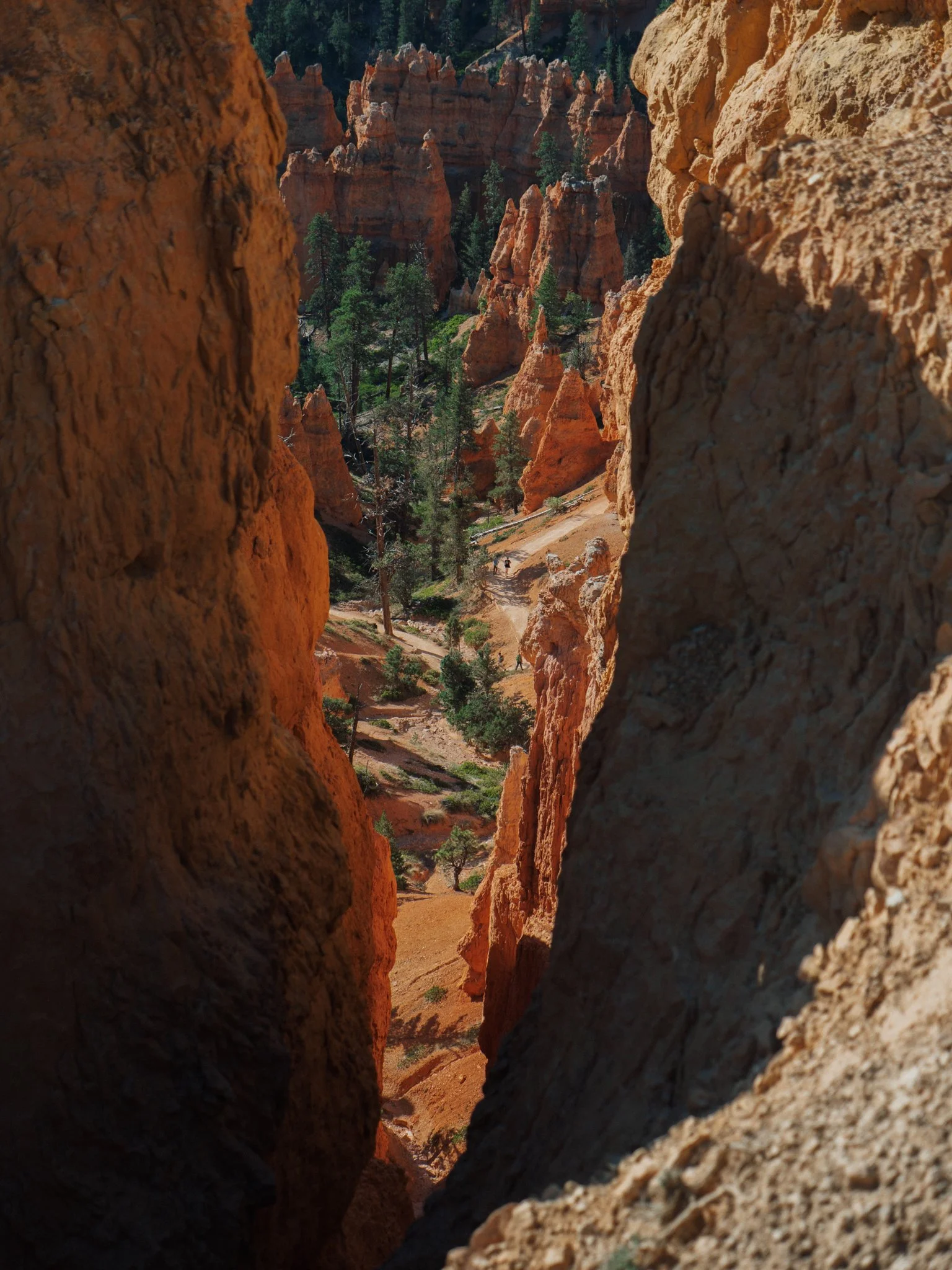 PA100030.jpg