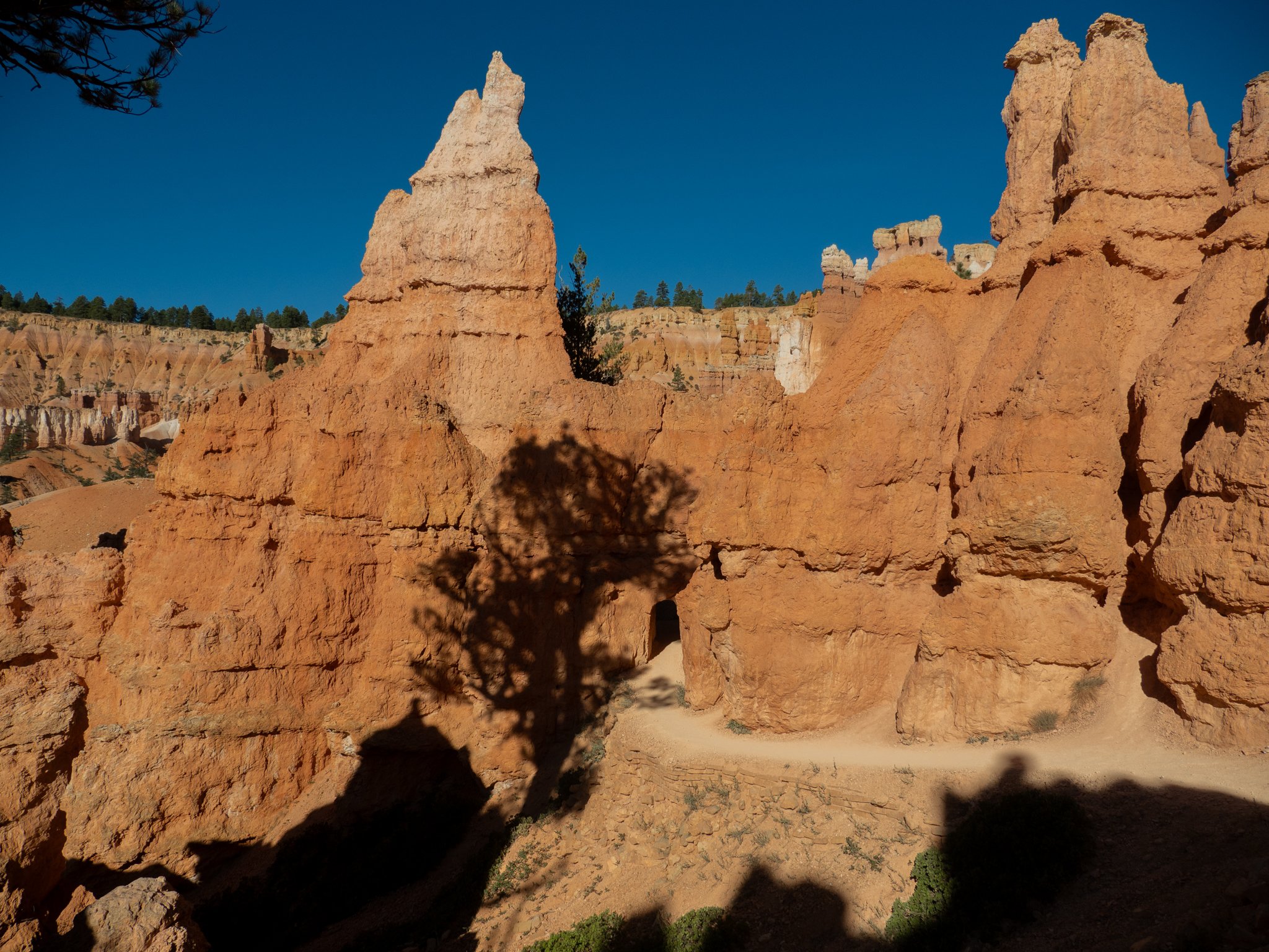 PA100059.jpg