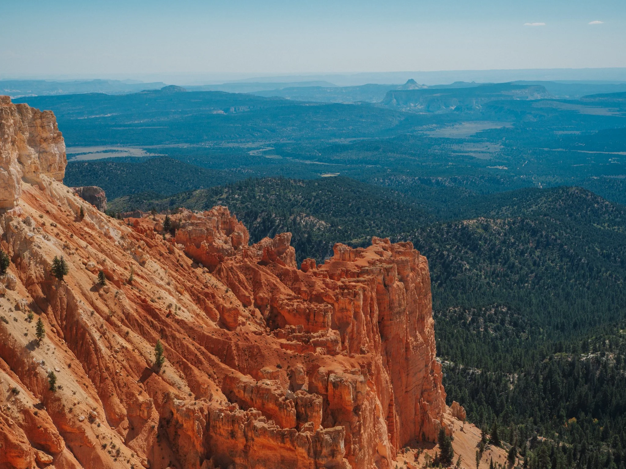 PA100212.jpg
