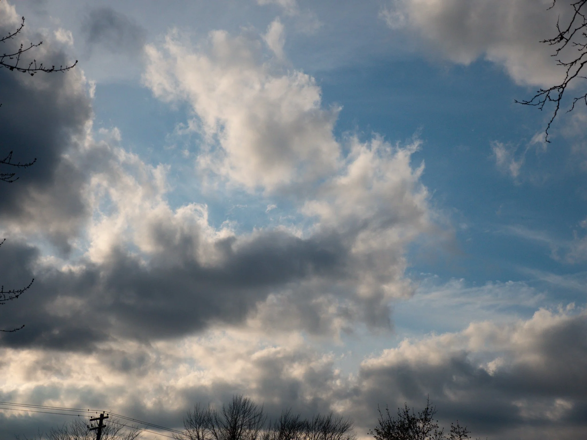 P4190038.jpg
