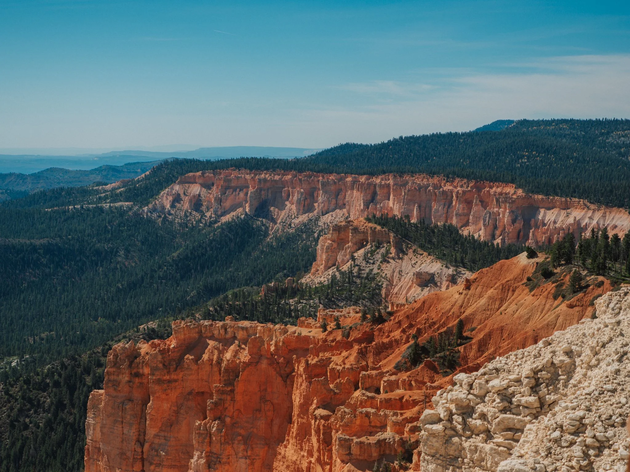 PA100211.jpg