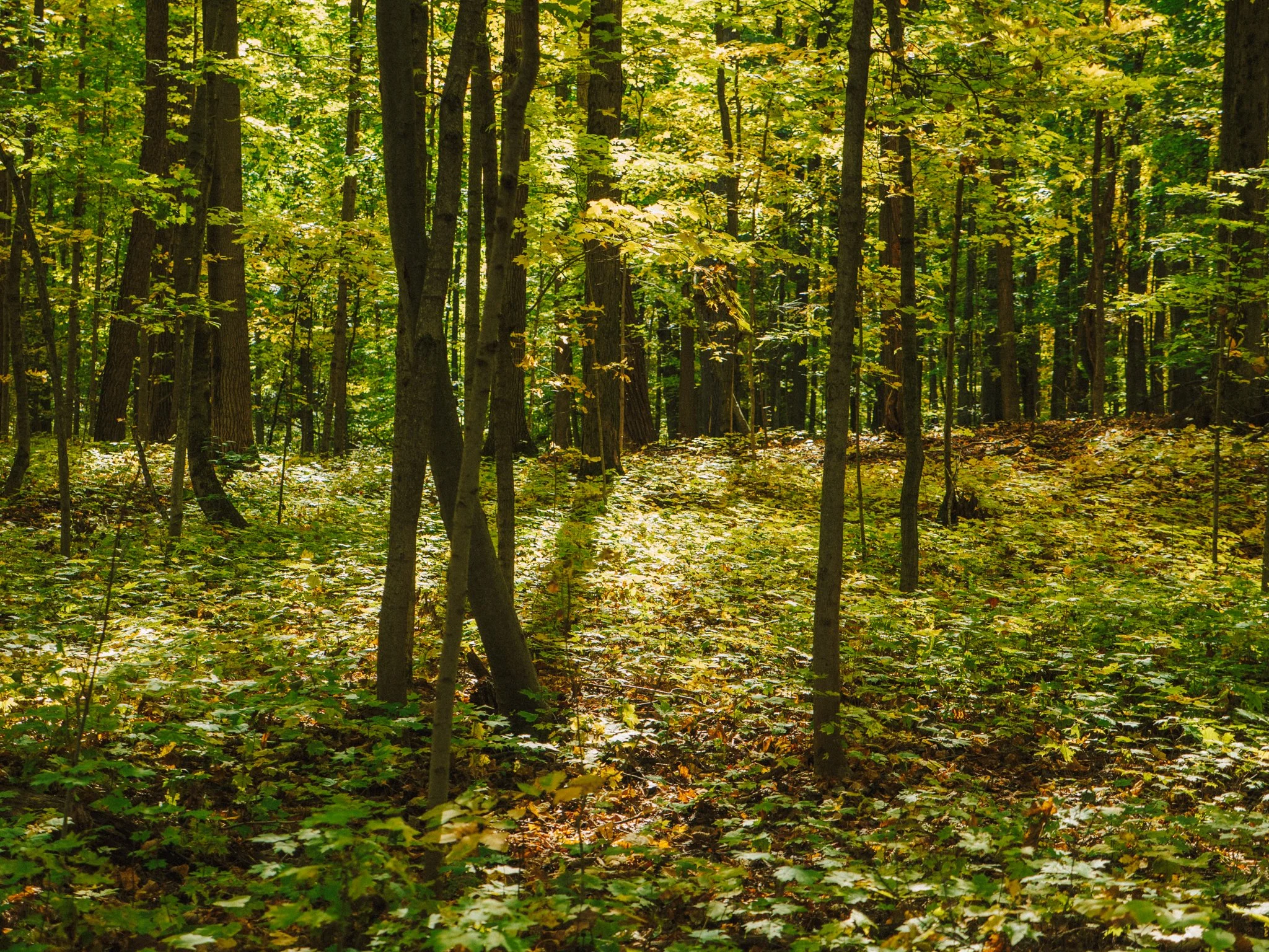 PA190053.jpg
