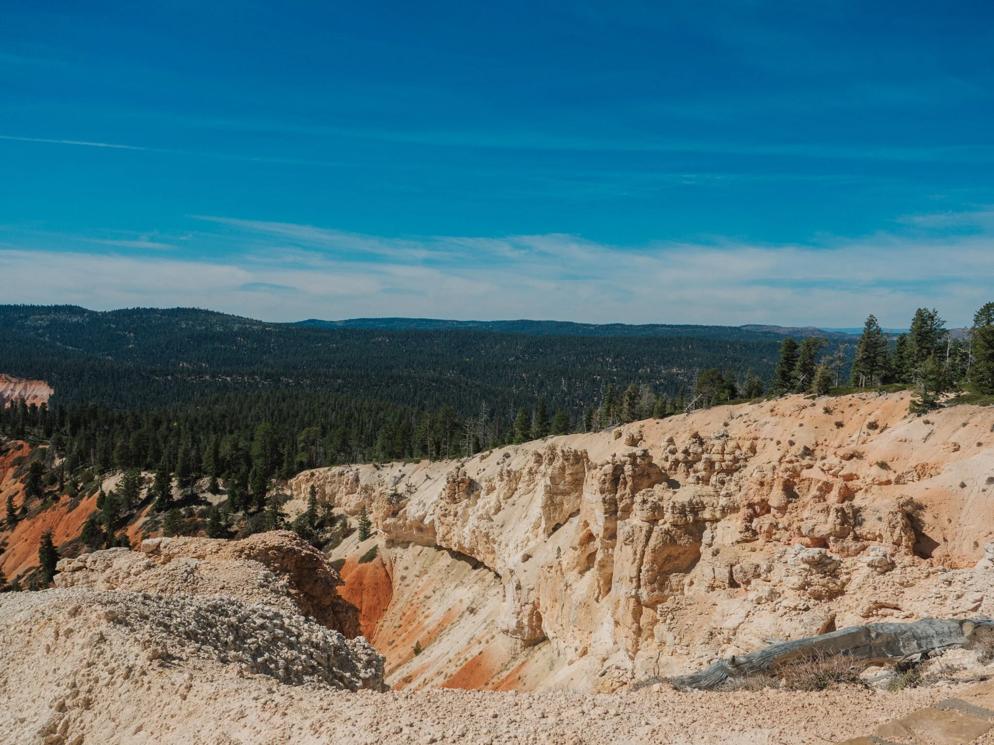 PA100206.jpg